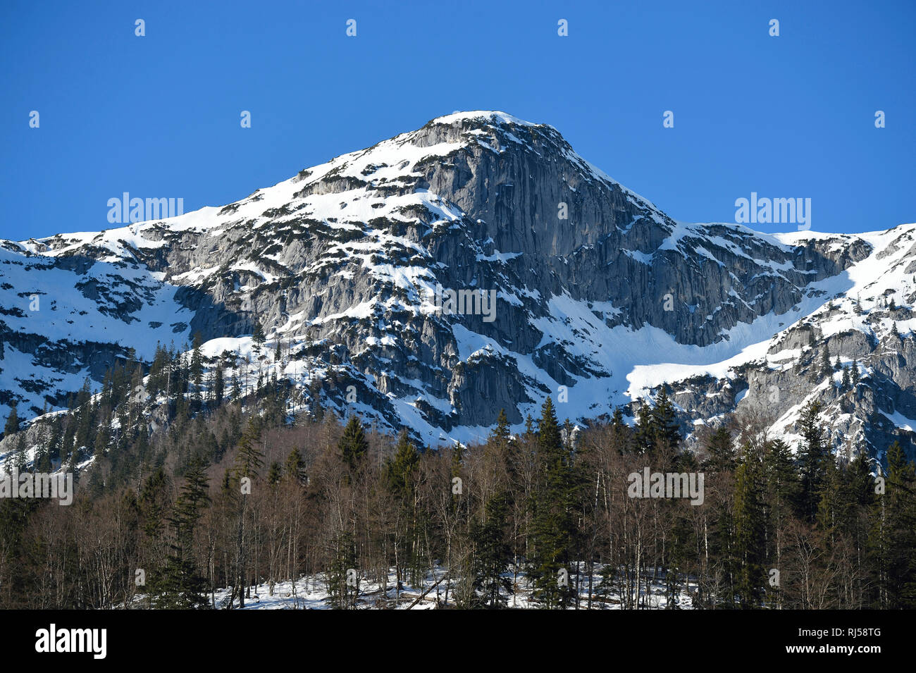 Winterlandschaft, Gebirge, Salzkammergut, Steiermark, Österreich, Europa Foto Stock