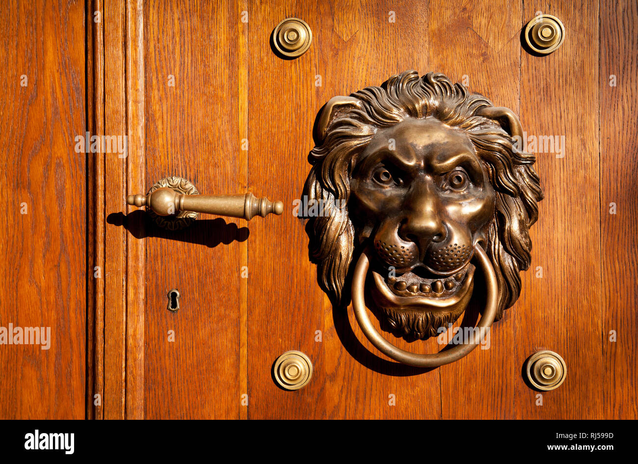 Lion casting knock decorazione della porta e la maniglia della porta, architettura ornamentali in ottone di lusso in elemento luminoso marrone porte in legno, nessuno, editoriale, Foto Stock