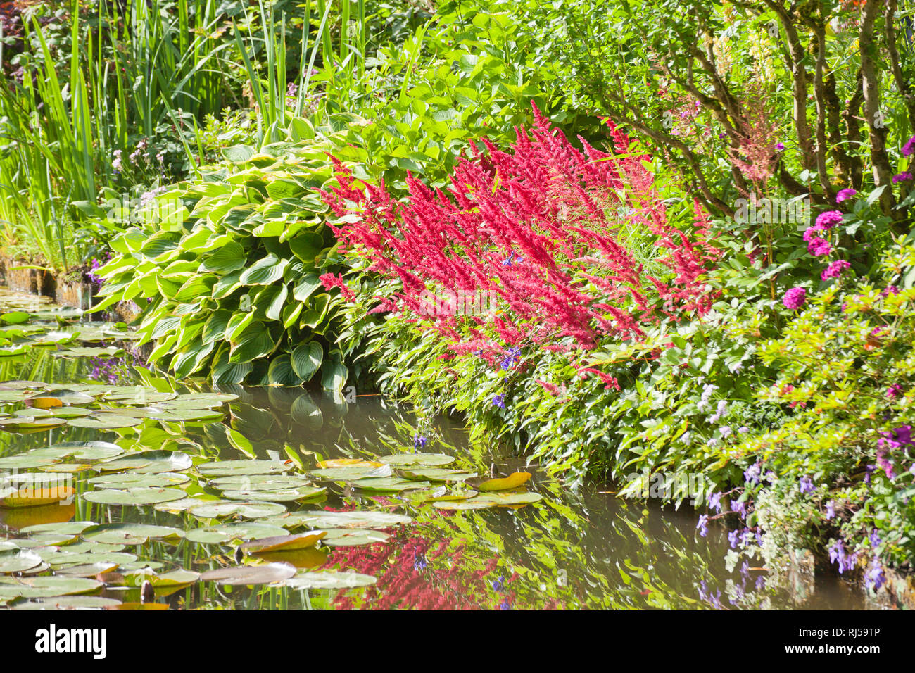 Garten des Malers Claude Monet Foto Stock