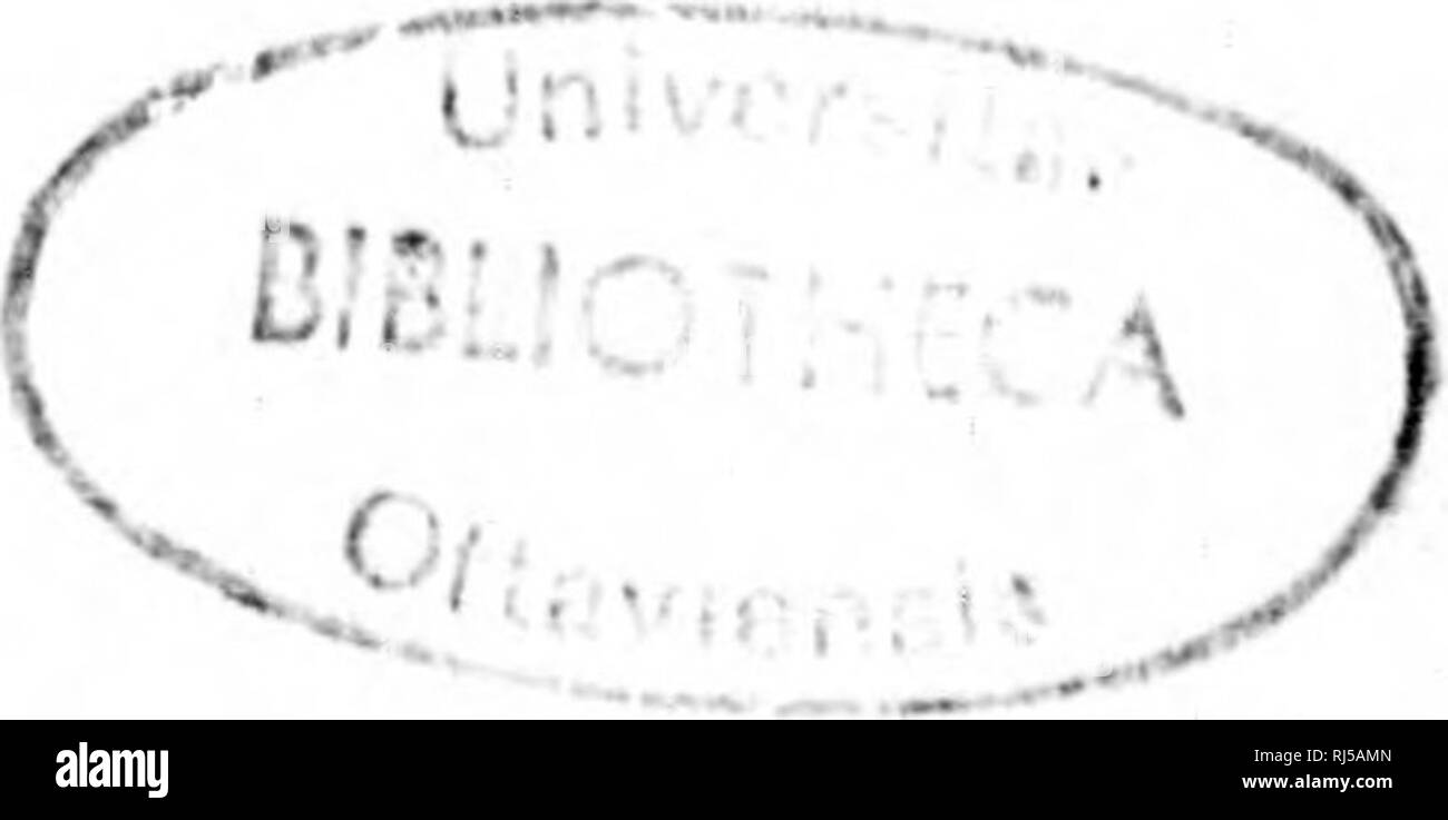 . La colonizzazione : le nord de MontrÃ©al ou la rÃ©gion Labelle [microforme]. La migrazione intÃ©rieure; Agricoltura; migrazione interna; Agricoltura. m m â 34(1 â tout en passant agrdableraent leur vie, ruffiano l'esistenza Ã plusieurs familles, en Ã©tablissant des fermes modÃ¨les ! Au lieu de d/'nr^pjer follement leur bien, de s'Ã"tioler dans le dÃ©sÅuvrement et d'Ãªtre la risÃ©e le scandale et la malÃ©dic- tion du peuple, ils en seraient l'ammirazione et la provvidenza. Quelle est grande la responsabilitÃ© de ceux qui sont ricchezze, surtout quand il serait pour eux si doux et si profi- tabella de fa Foto Stock