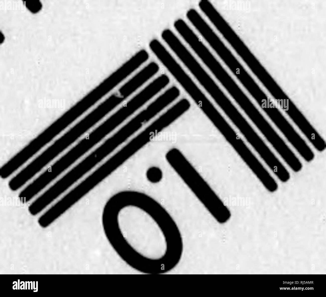 . Chiave per uccelli del Nord America [microformati] : contenente un conciso conto di ogni specie di vita e di uccelli fossili attualmente conosciuti dal continente nord del Messico e degli Stati Uniti, di confine inclusive della Groenlandia. Gli uccelli; ornitologia; Oiseaux; Ornithologie. . Si prega di notare che queste immagini vengono estratte dalla pagina sottoposta a scansione di immagini che possono essere state migliorate digitalmente per la leggibilità - Colorazione e aspetto di queste illustrazioni potrebbero non perfettamente assomigliano al lavoro originale. Coues, Elliott, 1842-1899. Boston : Estes e Lauriat Foto Stock