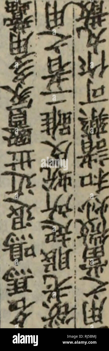 . Chong xiu zhen egli jin shi zheng lei bei yong cao yao ????????????. erbe. V? E &AMP;&GT; ¥ a&GT; ?.H ?# pi^^^^s J. &gt;.???. Si prega di notare che queste immagini vengono estratte dalla pagina sottoposta a scansione di immagini che possono essere state migliorate digitalmente per la leggibilità - Colorazione e aspetto di queste illustrazioni potrebbero non perfettamente assomigliano al lavoro originale. (Song) codolo shen wei (?????. ??????? Foto Stock