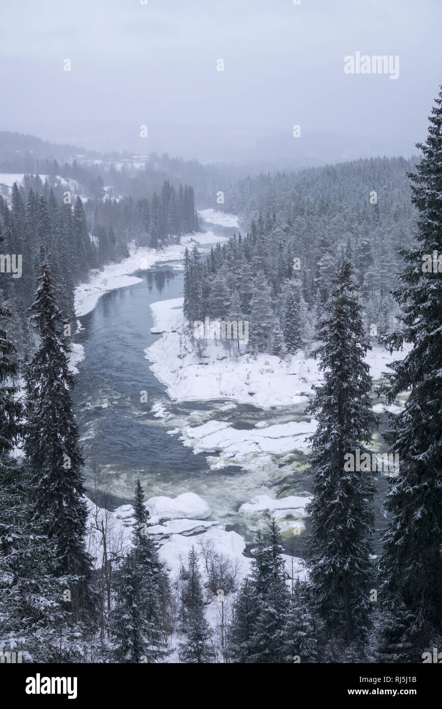 Vista su un fiume, bosco in inverno Foto Stock