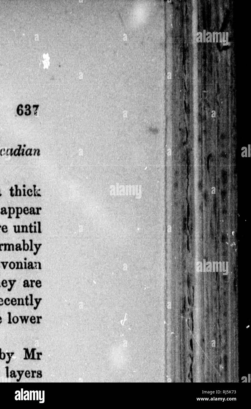 . La geologia della Nova Scotia, del New Brunswick e del Prince Edward Island o, Acadian geologia [microformati]. Geologia; Geologia stratigrafica; Paleontologia, Geologia, economico; GÃ©ologie; GÃ©ologie stratigraphique; PalÃ©ontologie; GÃ©ologie Ã©conomique. 5 s S 52 87 00 00 26 13 08 24162 04 13 27583 06 09 36 14 15 49 01 15 0 15 14 0 17 23 02 30963 30673 00 r-l 00 i-H 00 Â"o CO CO Â"Â£&GT; Â"0 totali .... Totali per il 1867 . NEW BRUNSWICK ACADIAN GRUPPO. 2. Stlurtan inferiore della riva sud del New Brunswick.âThe Acadian gruppo. La città di San Giovanni sorge sui bordi che affiora in superficie di un nastro di spessore della doga duro Foto Stock