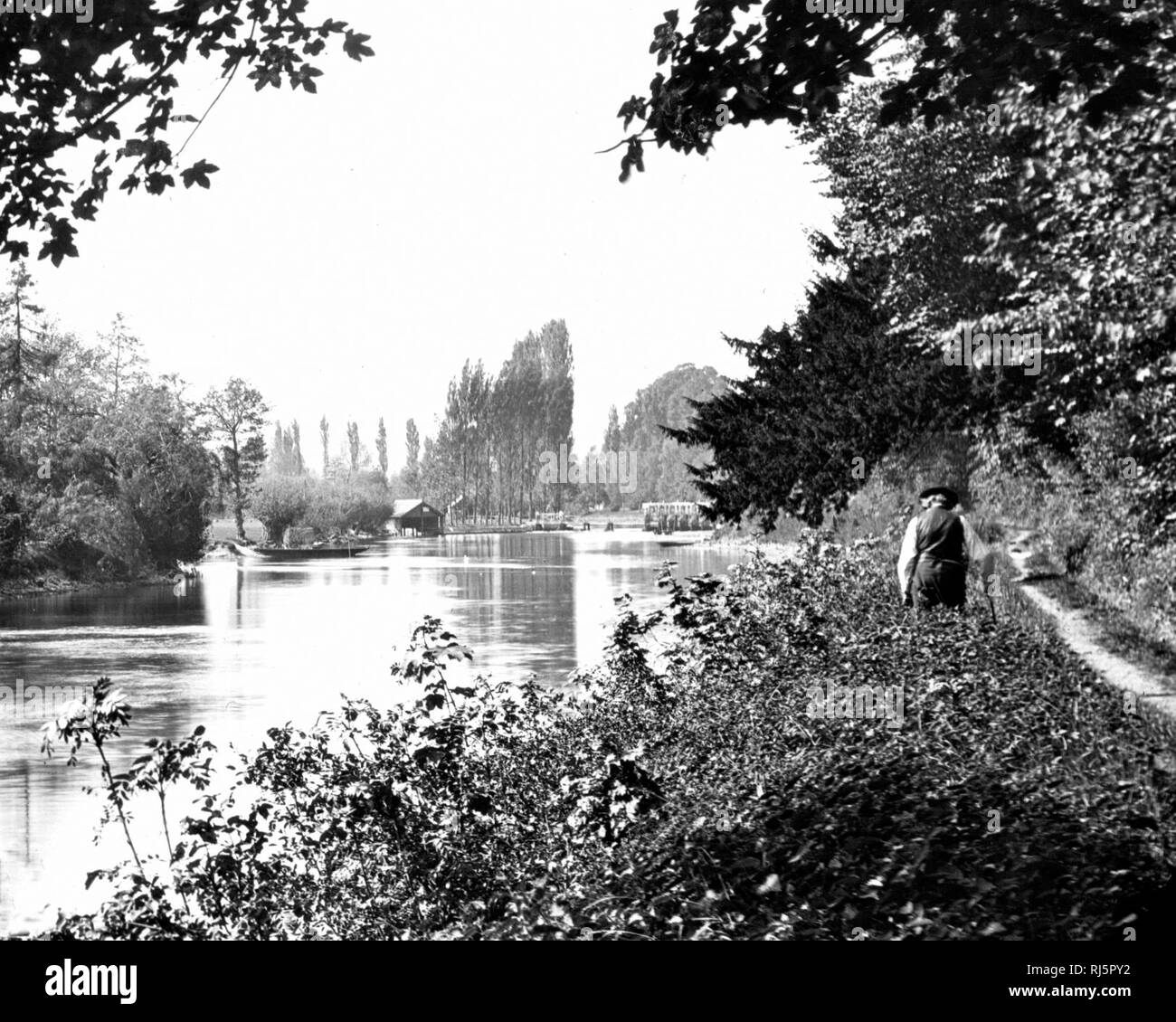 Il fiume Tamigi, Hedsor Foto Stock