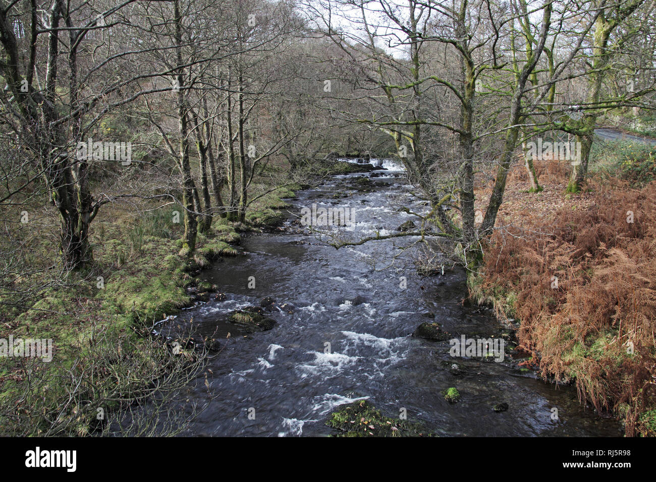 Torver Beck accanto a Coniston Water Parco Nazionale del Distretto dei Laghi Cumbria Inghilterra England Regno Unito Foto Stock