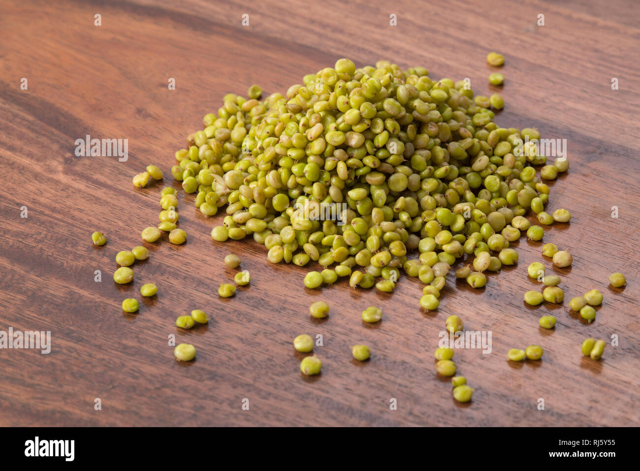 Cumulo di fresco verde tenero sorgo su sfondo di legno Foto Stock