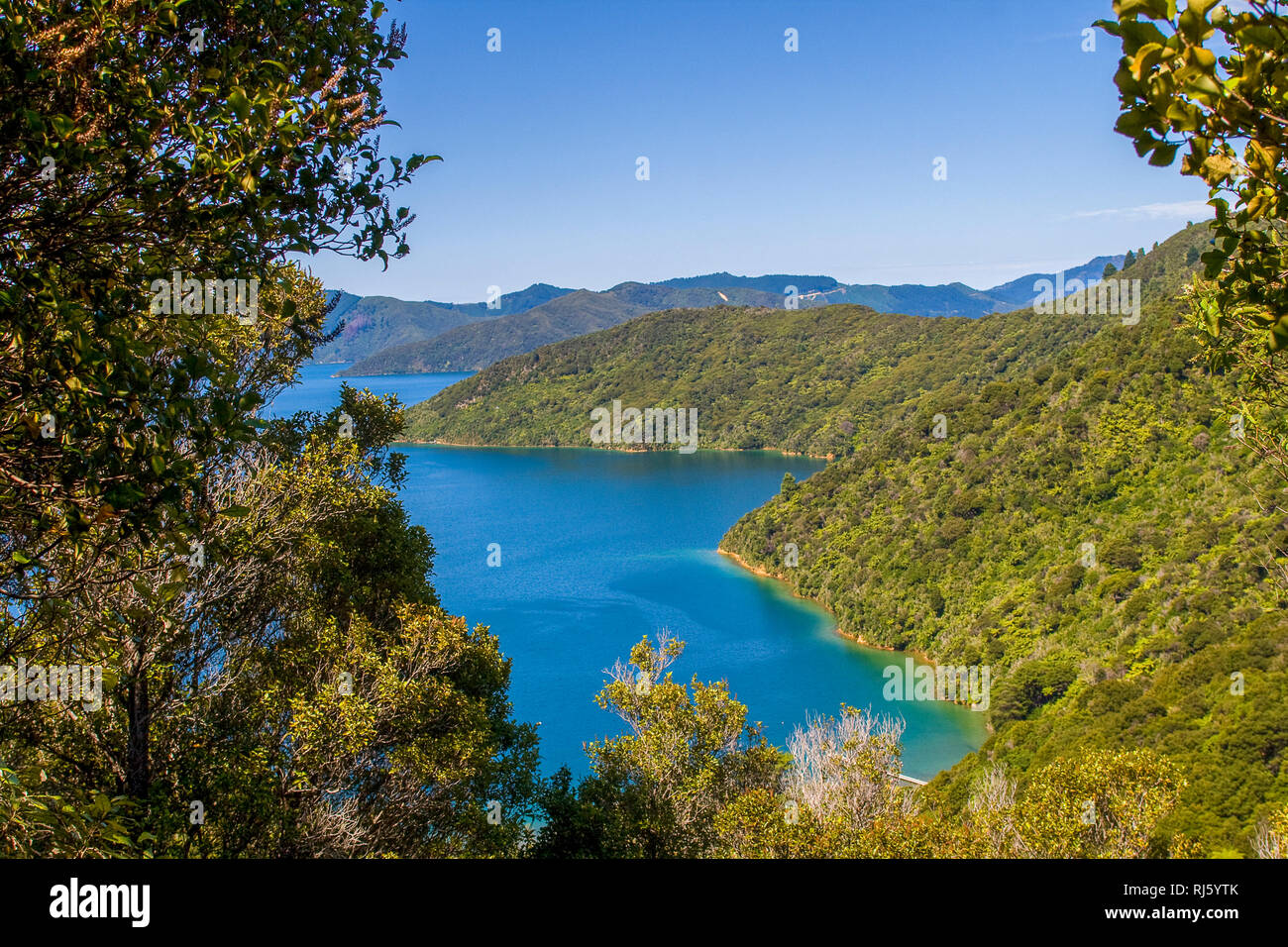 Marlborough Sounds con passeggiate via in Nuova Zelanda Foto Stock