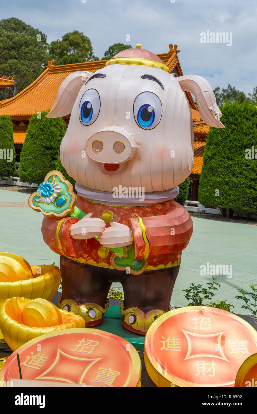 Anno di celebrazioni di maiale, Nan Tien tempio, Wollongong Foto Stock
