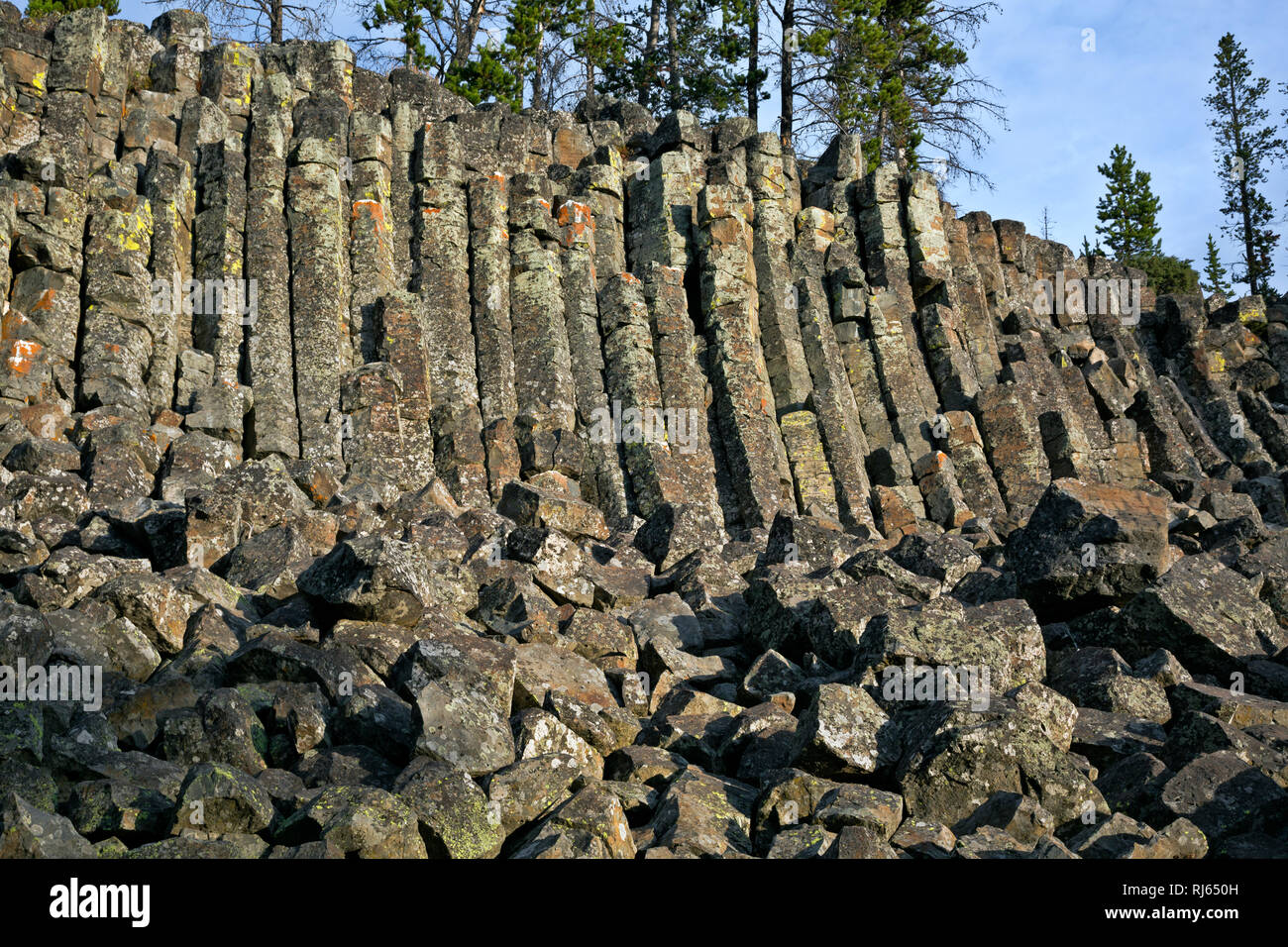 WY03137-00...WYOMING - basalto colonnare a Sheepeater Cliff nel Parco Nazionale di Yellowstone. Foto Stock WY03137-00...WYOMING - basalto colonnare a Sheepeater Cliff nel Parco Nazionale di Yellowstone. Foto Stock
