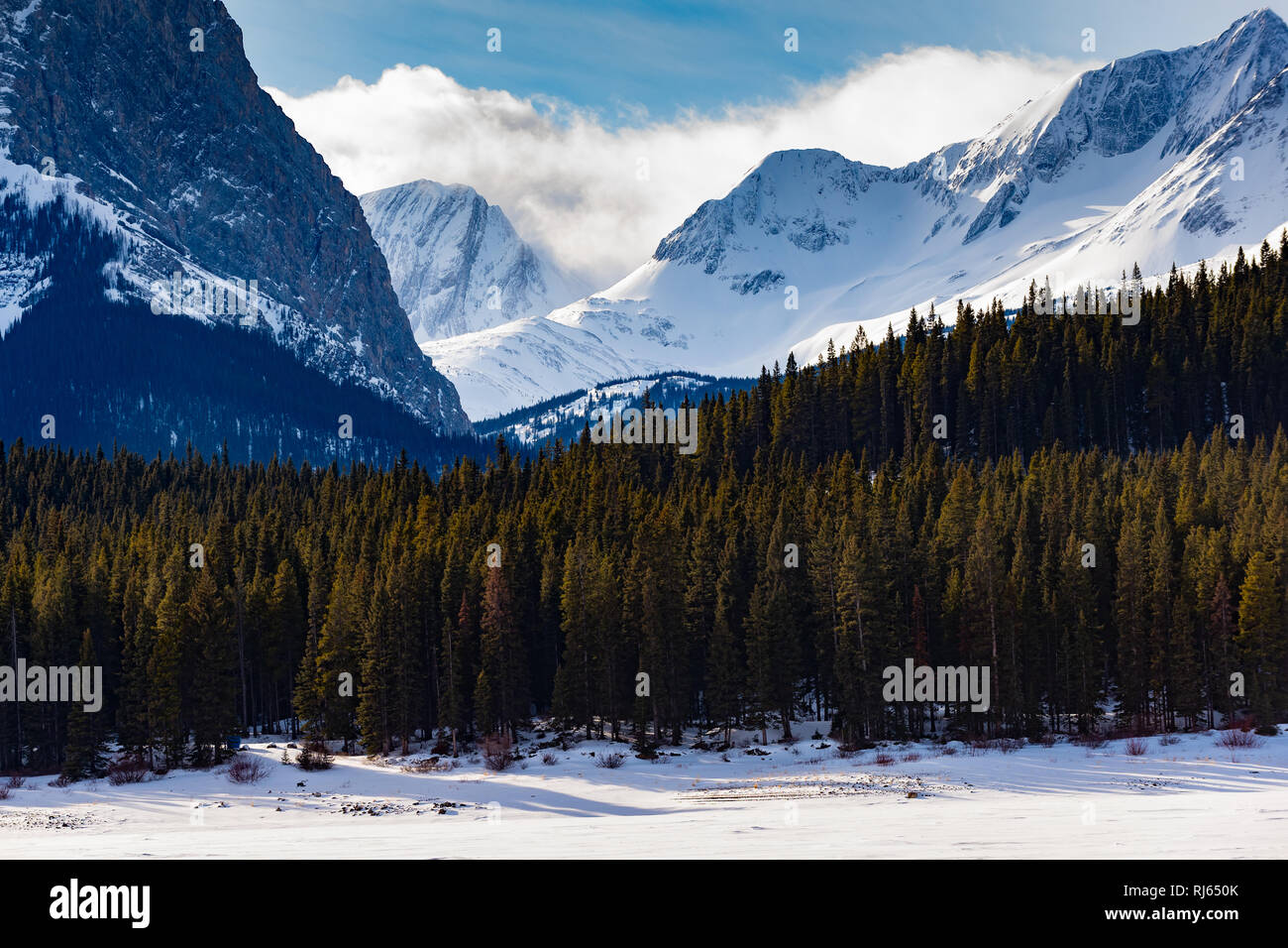 Bellissimo paesaggio invernale nelle Montagne Rocciose Canadesi. Shoeshoeing intorno a Kananaskis Lago sotto la calma i cieli blu. Foto Stock