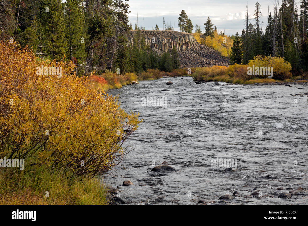 WY03141-00...WYOMING - basalto colonnare cliff lungo il fiume Gardiner al Sheepeater Cliff area di visualizzazione nel Parco Nazionale di Yellowstone. Foto Stock