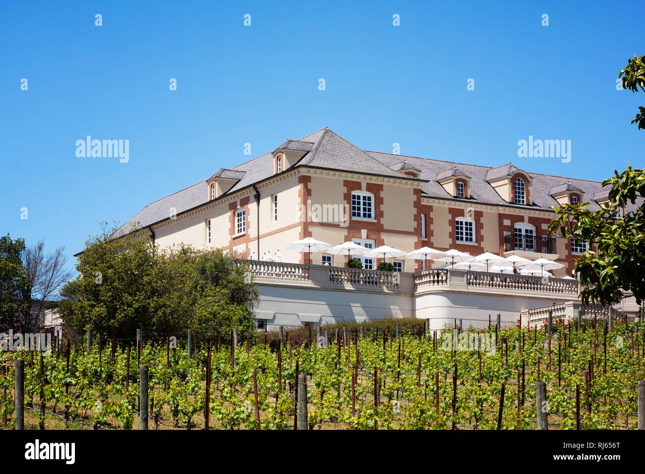 Domaine Carneros winery in Napa Valley, CA Foto Stock