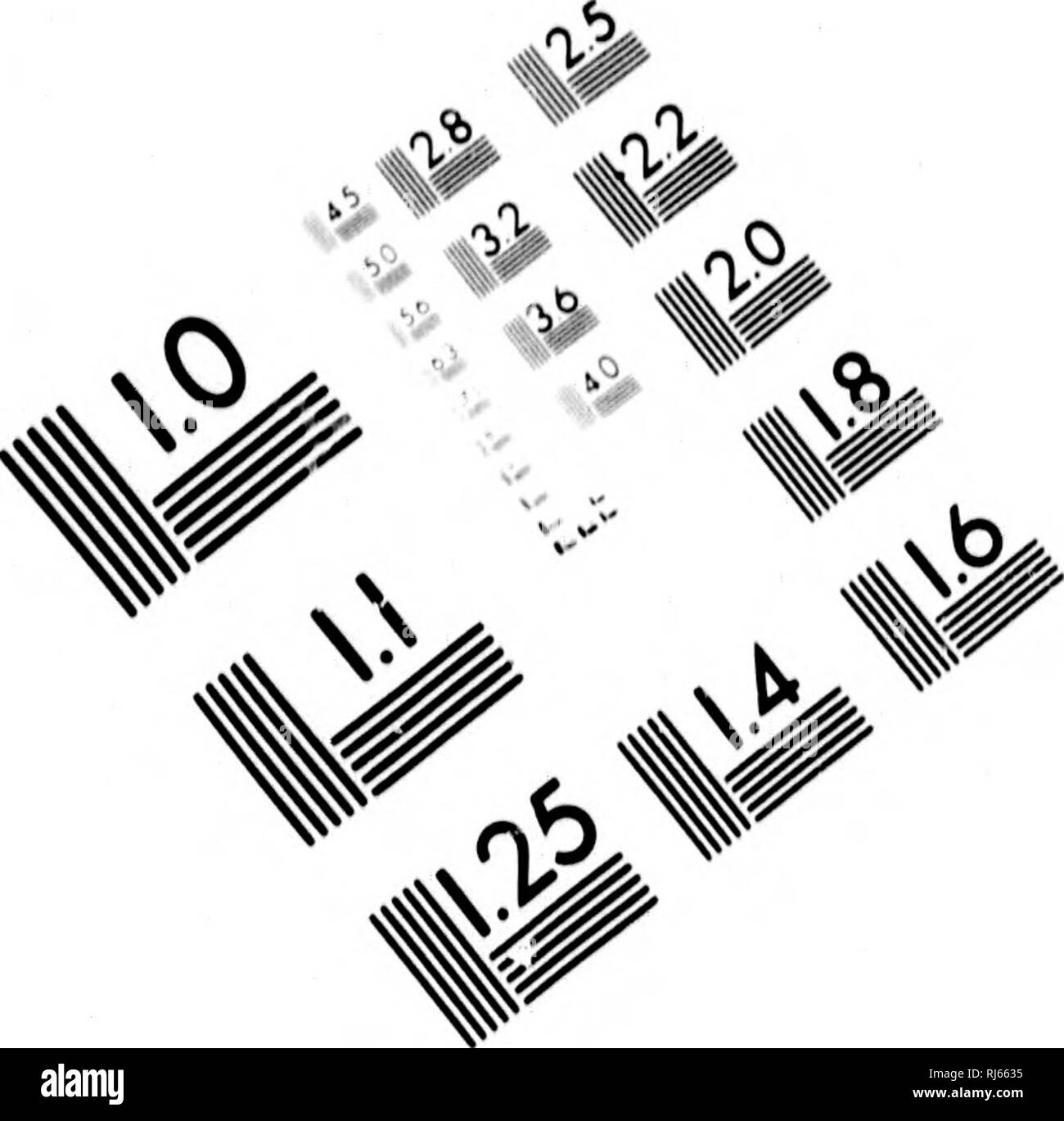 . Il sentiero e camp-fire [microformati] : il libro di Boone e Crockett Club. Caccia; Caccia; Chasse; Chasse. Valutazione di immagine il bersaglio di test (MT-3) V 5? // .// Y â %'^^4p. mi-?- w. 1.0 I.I 1.25 iia 112,5 mi- 112,2 LIT 40 2,0 1,8 U. 11,6 1 I. Si prega di notare che queste immagini vengono estratte dalla pagina sottoposta a scansione di immagini che possono essere state migliorate digitalmente per la leggibilità - Colorazione e aspetto di queste illustrazioni potrebbero non perfettamente assomigliano al lavoro originale. Grinnell, George Bird, 1849-1938; Roosevelt, Theodore, 1858-1919. New York : Foresta e streaming Pub. Co. Foto Stock