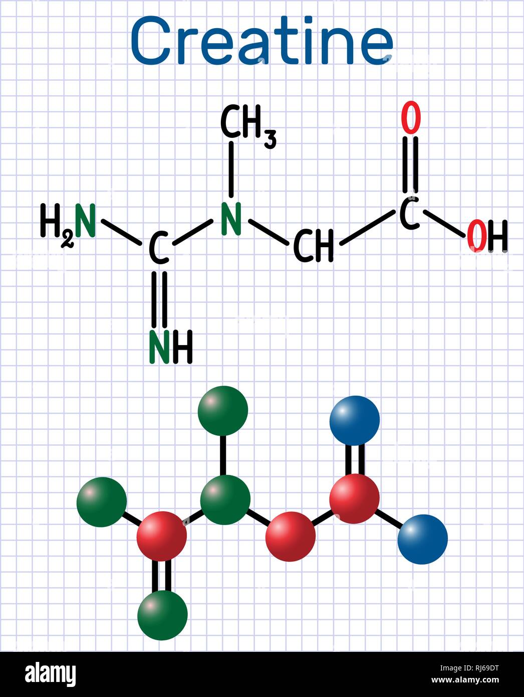 Molecola di creatina. Formula chimica di struttura e la molecola modello. Foglio di carta in una gabbia. Illustrazione Vettoriale Illustrazione Vettoriale