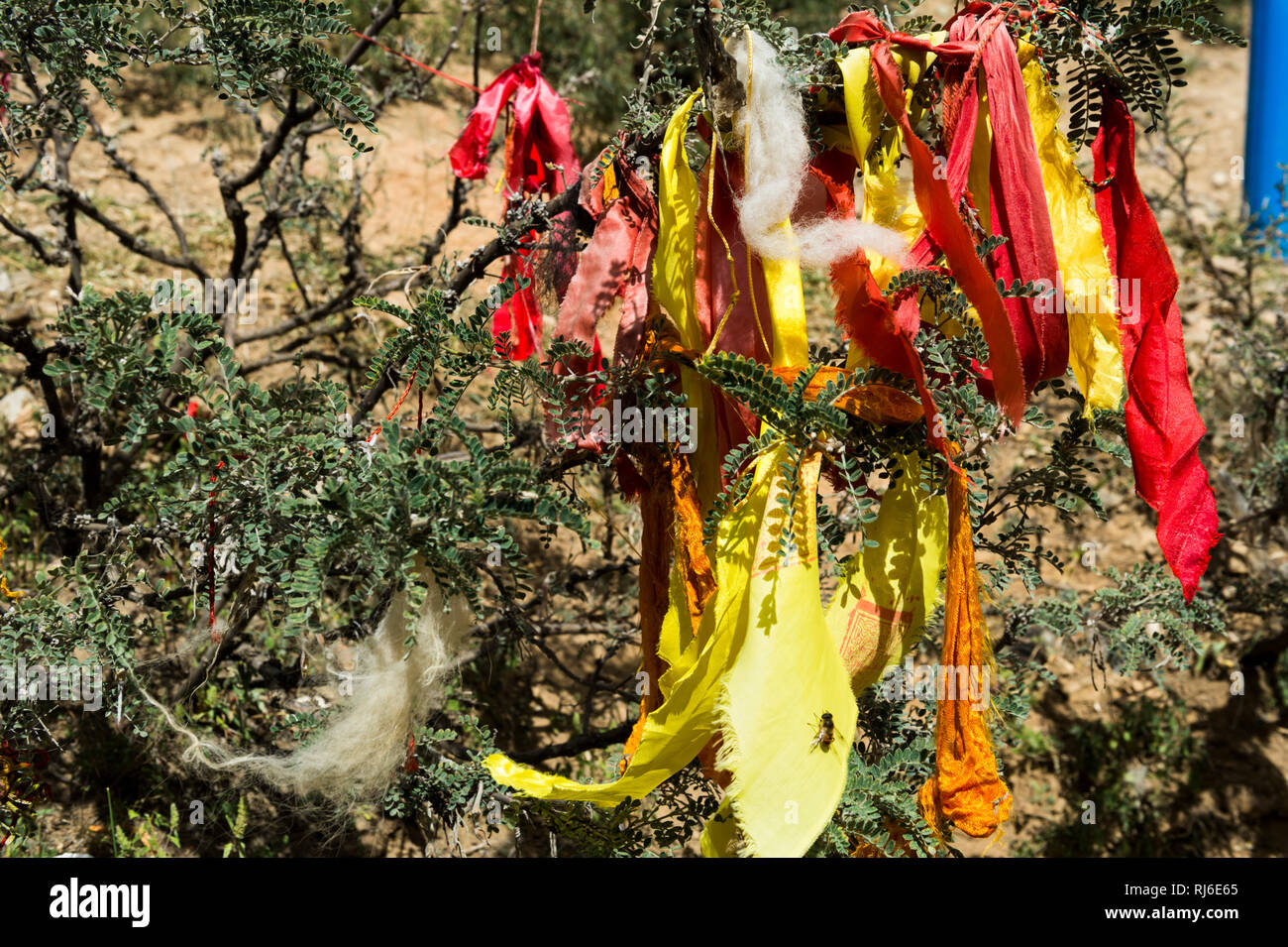 Il Tibet, Shigatse, Kora um das Tashilhunpo Kloster Foto Stock