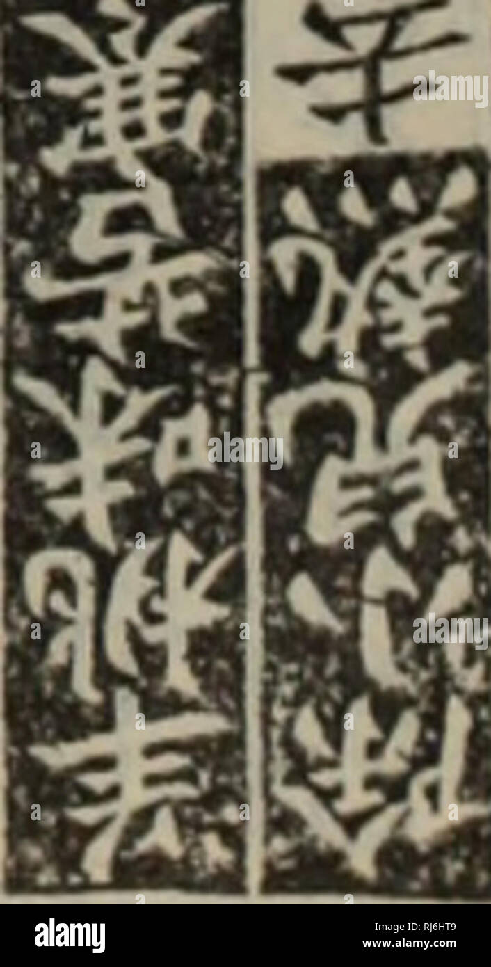 . Chong xiu zhen egli jin shi zheng lei bei yong cao yao éä¿®ae¿åç"å²è¯ç±"Å¤ç¨ae¬è. erbe. pi, ä' è² è 15ç¿"ç¿"ae¯ ï¼$å"£è¾ 9ä'. Ç-^^F^a^s re-^ ^^^^^^ ï¼: I. Si prega di notare che queste immagini vengono estratte dalla pagina sottoposta a scansione di immagini che possono essere state migliorate digitalmente per la leggibilità - Colorazione e aspetto di queste illustrazioni potrebbero non perfettamente assomigliano al lavoro originale. Äººae°å"çåºçç¤¾ Foto Stock