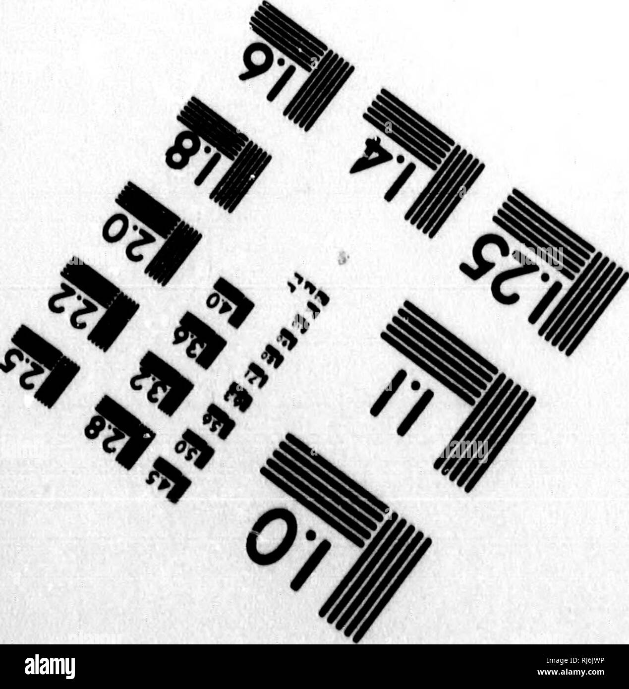 . L'acqua uccelli del Nord America [microformati]. Gli uccelli; uccelli acquatici; Oiseaux; Oiseaux aquatiques. Valutazione di immagine il bersaglio di test (MT-3) // .-^Z *4l A* '*- ^,V 4. ^. ^Â° J%^ Z 3 1,0 I.I lis â 50 1^ 1^ 12.2 noi lâ£ 12.0 11.25 III 1.4 1.6. Si prega di notare che queste immagini vengono estratte dalla pagina sottoposta a scansione di immagini che possono essere state migliorate digitalmente per la leggibilità - Colorazione e aspetto di queste illustrazioni potrebbero non perfettamente assomigliano al lavoro originale. Baird, Spencer F. , 1823-1887; Brewer, T. M. (Thomas Mayo), 1814-1880. Boston : Little, marrone Foto Stock