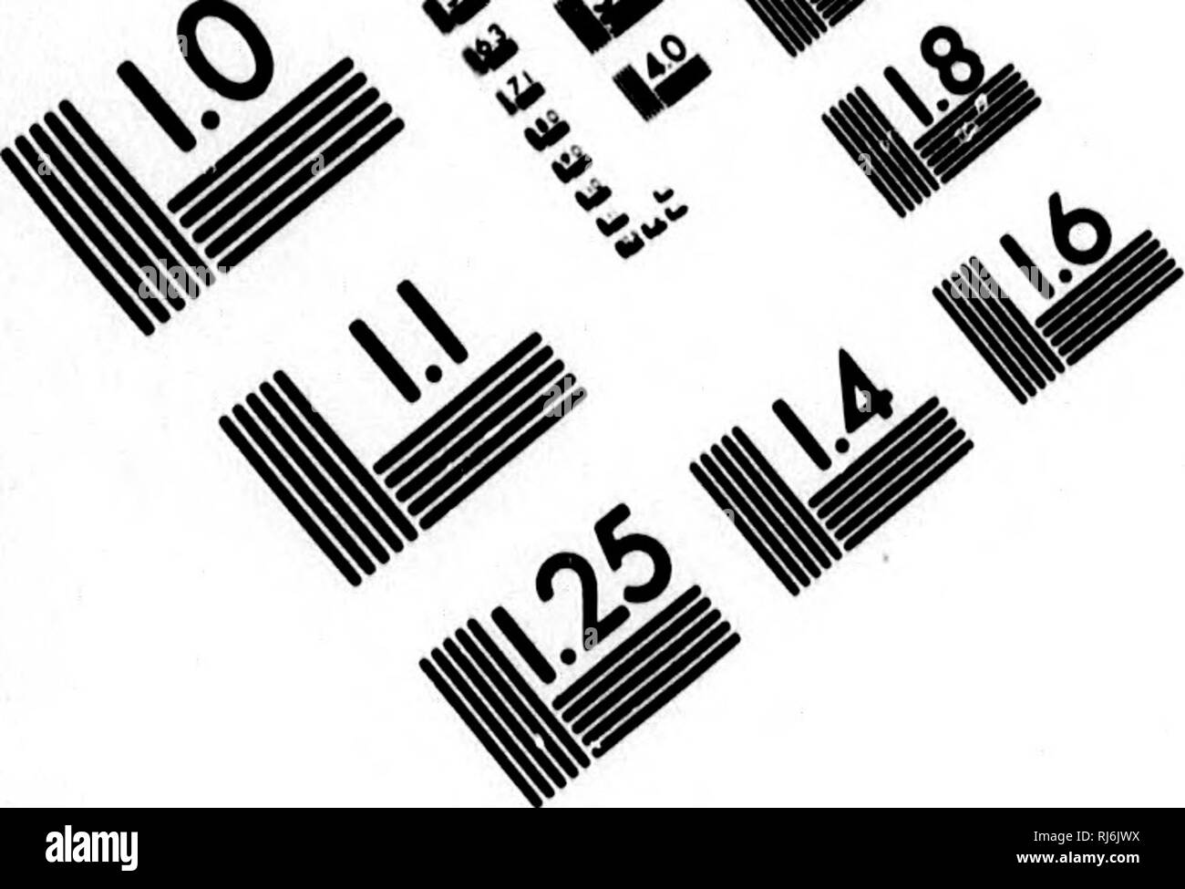 . L'acqua uccelli del Nord America [microformati]. Gli uccelli; uccelli acquatici; Oiseaux; Oiseaux aquatiques. Valutazione di immagine il bersaglio di test (MT-3) // .-^Z *4l A* '*- ^,V 4. ^. ^Â° J%^ Z 3 1,0 I.I lis â 50 1^ 1^ 12.2 noi lâ£ 12.0 11.25 III 1.4 1.6. Si prega di notare che queste immagini vengono estratte dalla pagina sottoposta a scansione di immagini che possono essere state migliorate digitalmente per la leggibilità - Colorazione e aspetto di queste illustrazioni potrebbero non perfettamente assomigliano al lavoro originale. Baird, Spencer F. , 1823-1887; Brewer, T. M. (Thomas Mayo), 1814-1880. Boston : Little, marrone Foto Stock
