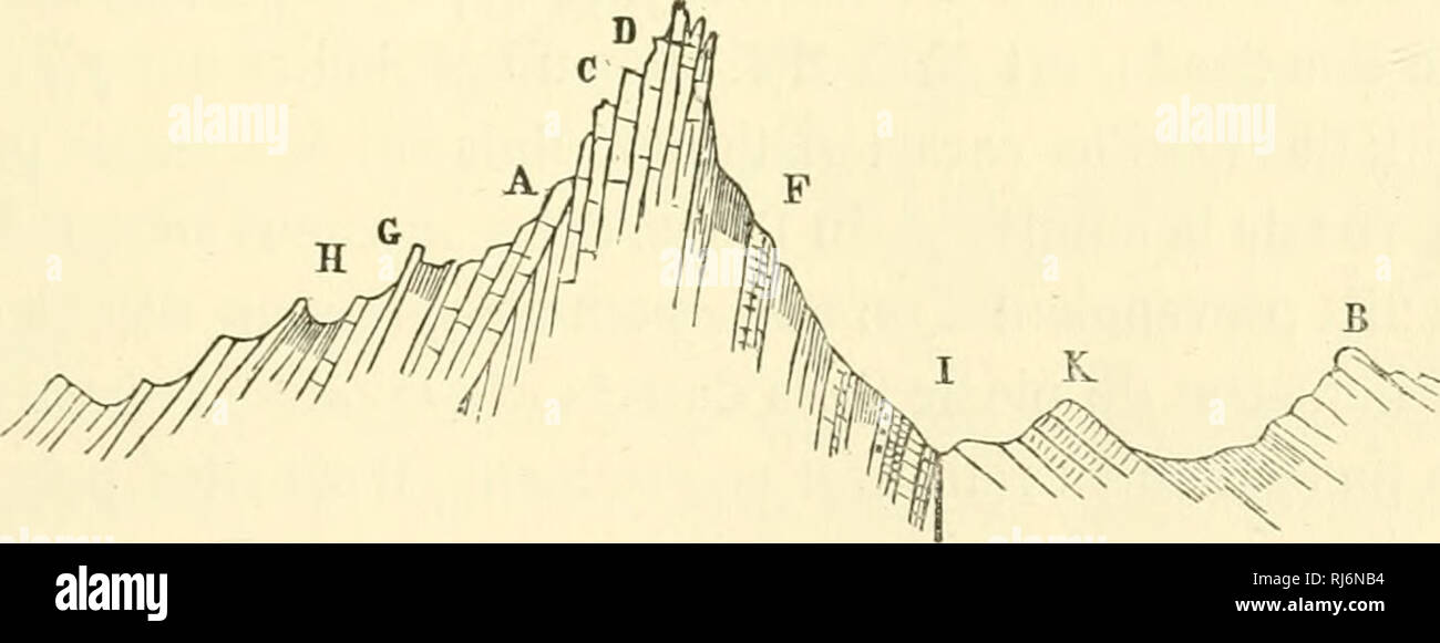 . Ãchinides fossiles de l'AlgÃ©rie; descrizione des espÃ¨ces dÃ©ja recueillies dans ce pays et considÃ©razioni sur leur stratigraphique posizione. Terrains secondaires. Ricci di mare, fossile; Paleontologia. TERRAINS JURASSIQUES 21 Collyrites Loryi, puis Dysaster granulosus, Holectypus corallinus et des Brachiopodes assez nombreux ; D. â Calcaires et marnes formant une lÃ©gÃ¨re dÃ©pression sur le flanc de la montagne. C'est la zona fossilifÃ¨re per eccellenza. On y trouve des TÃ©rÃ©bratiiles nombreuses; T. insignis ei autres non dÃ©crites, des Rhynchonelles, VOstrea solitaria, Mactromya rugosa, des Foto Stock