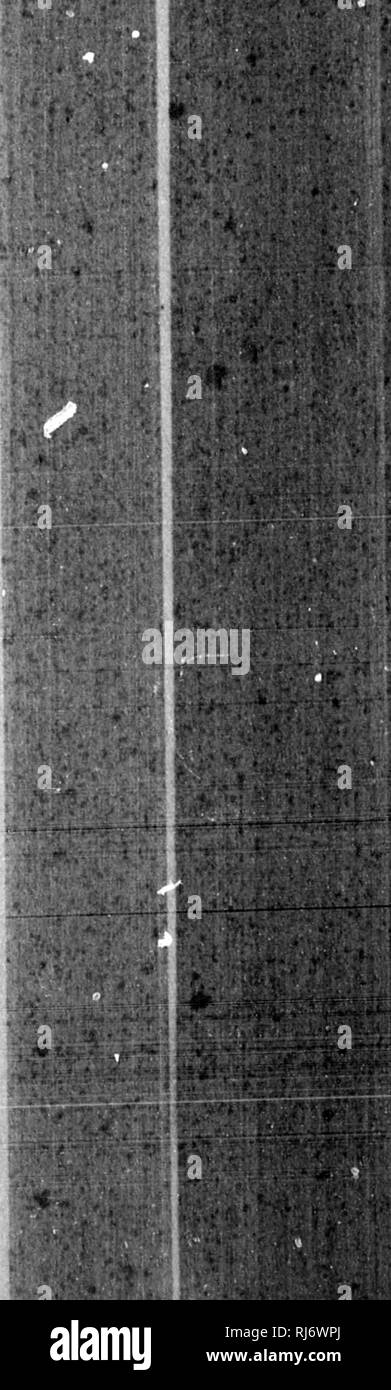 . Recensione di uccelli americana nel museo dello Smithsonian Instution. [Microformati]. Gli uccelli; Oiseaux. . Si prega di notare che queste immagini vengono estratte dalla pagina sottoposta a scansione di immagini che possono essere state migliorate digitalmente per la leggibilità - Colorazione e aspetto di queste illustrazioni potrebbero non perfettamente assomigliano al lavoro originale. Baird, Spencer F. , 1823-1887. Washington : l'istituzione Foto Stock