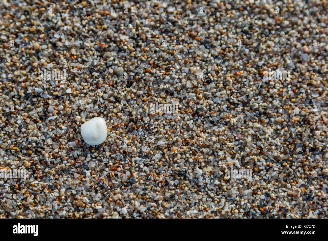 La sabbia, Kiesa und Muscheln findet man am Strand, Nahaufnahme, Foto Stock