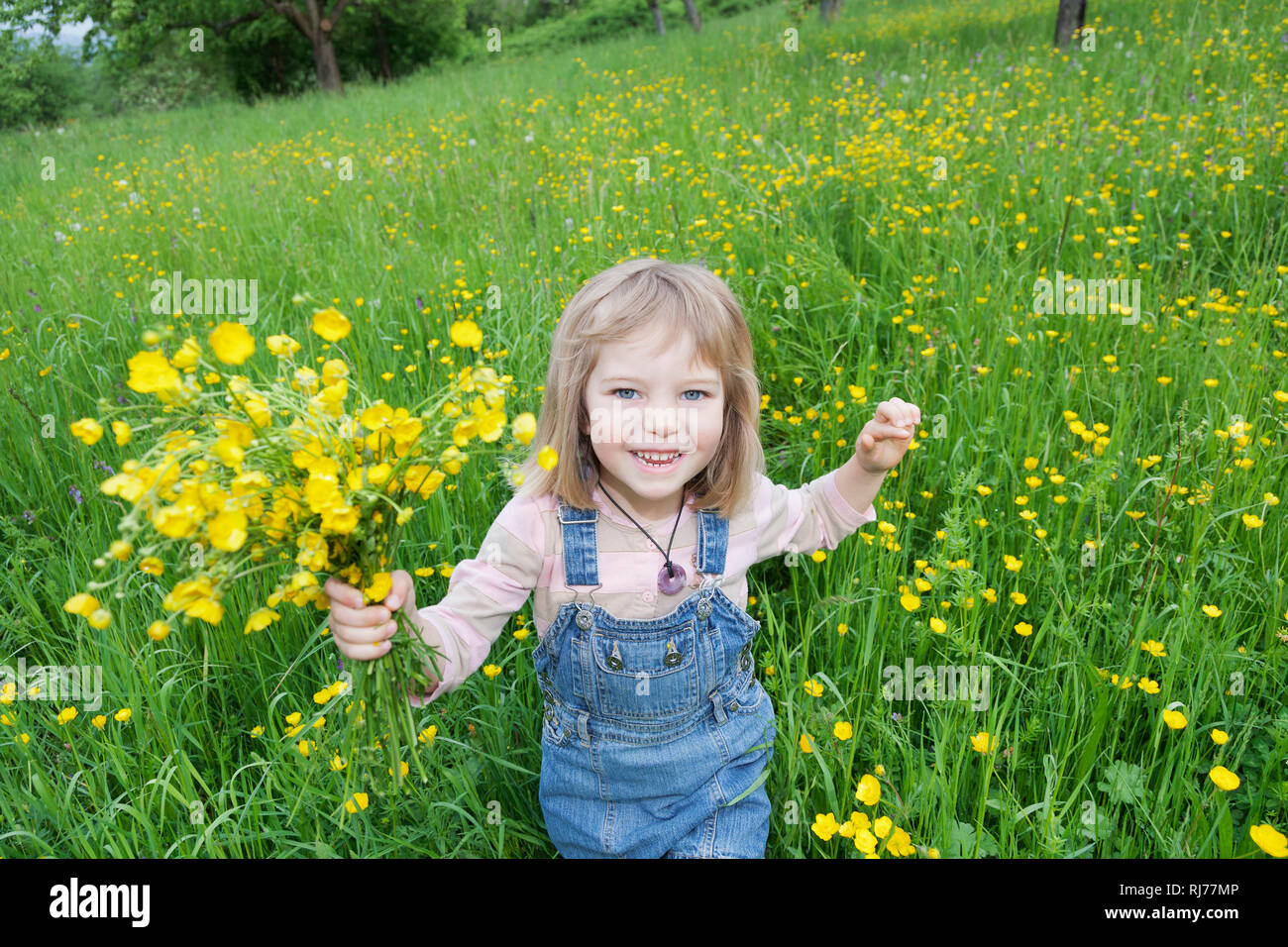 Mädchen, 5 Jahre alt, Mit einem Blumenstrauß in einer Frühlingswiese Foto Stock