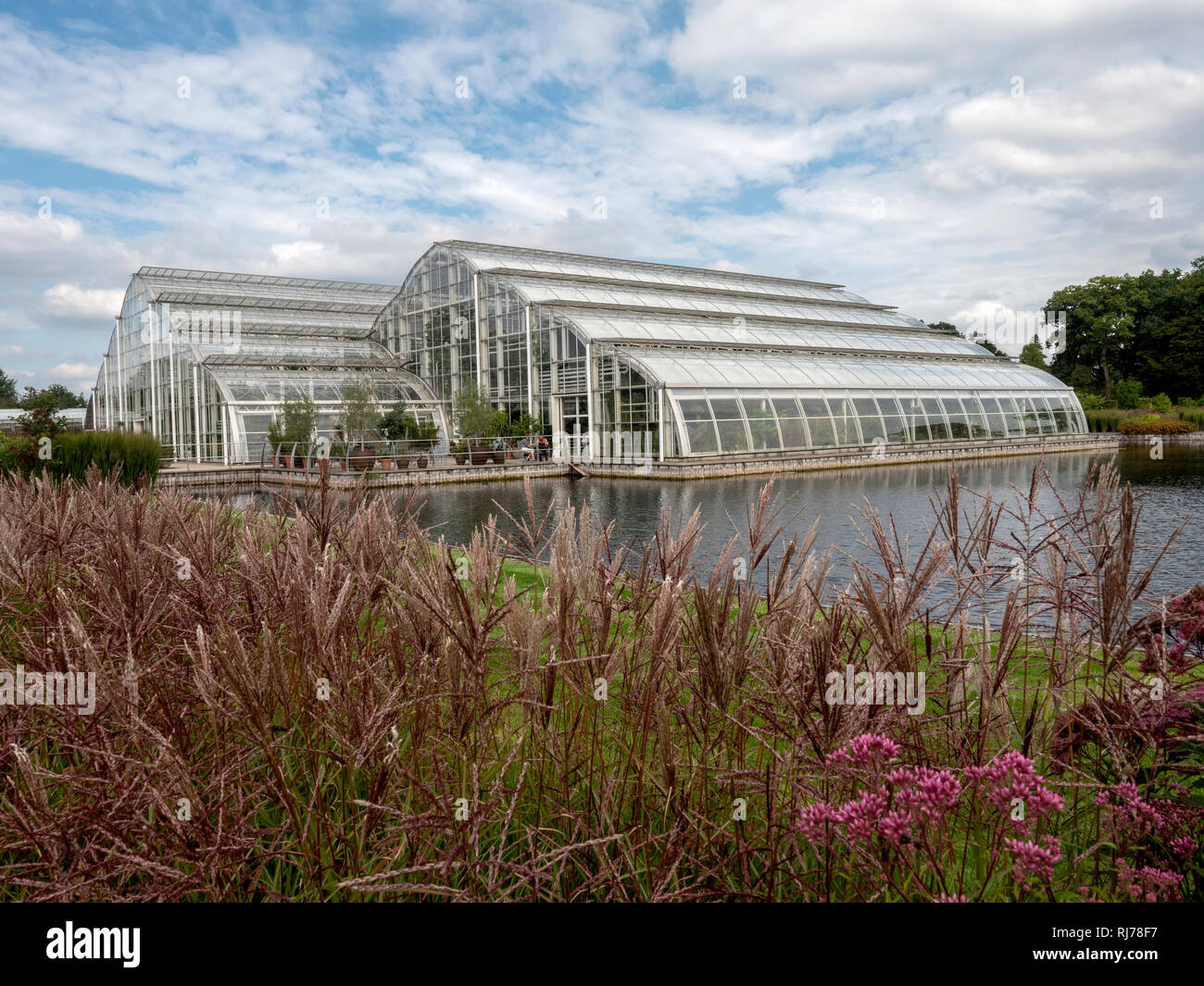 La Glasshouse ad RHS Wisley Gardens, Wisley, Surrey, England, Regno Unito Foto Stock