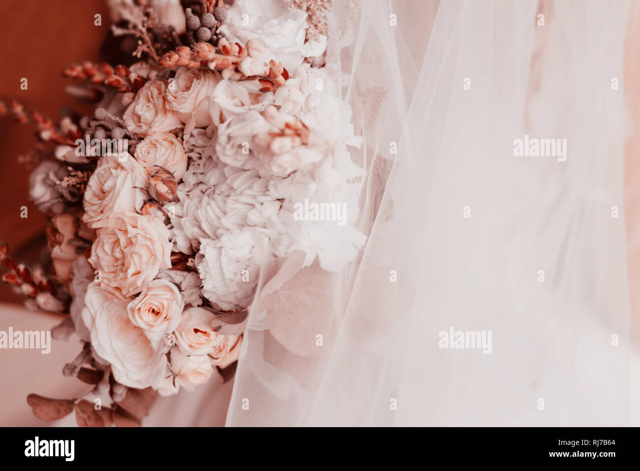 Bellissimi coralli viventi bouquet di fiori vicino. Concetto naturale in gara coralli viventi colore. Foto Stock