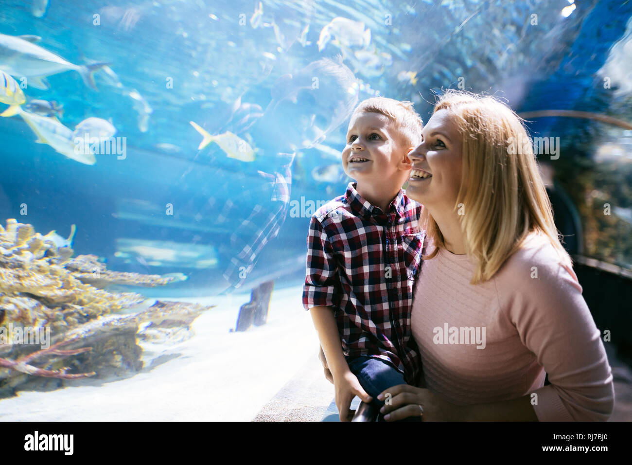 Madre e figlio guardando la vita di mare in oceanarium Foto Stock
