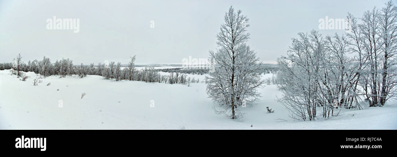 Winterlandschaft zwischen Kautokeino und Hetta an der Grenze zwischen Finnland und Norwegen Foto Stock