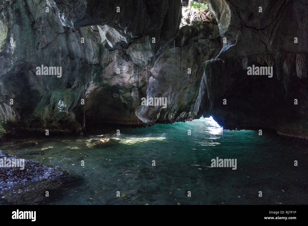 Große Antillen, Karibik, Dominikanische Republik, Samana, Höhle im Nationalpark Los Haitises Foto Stock