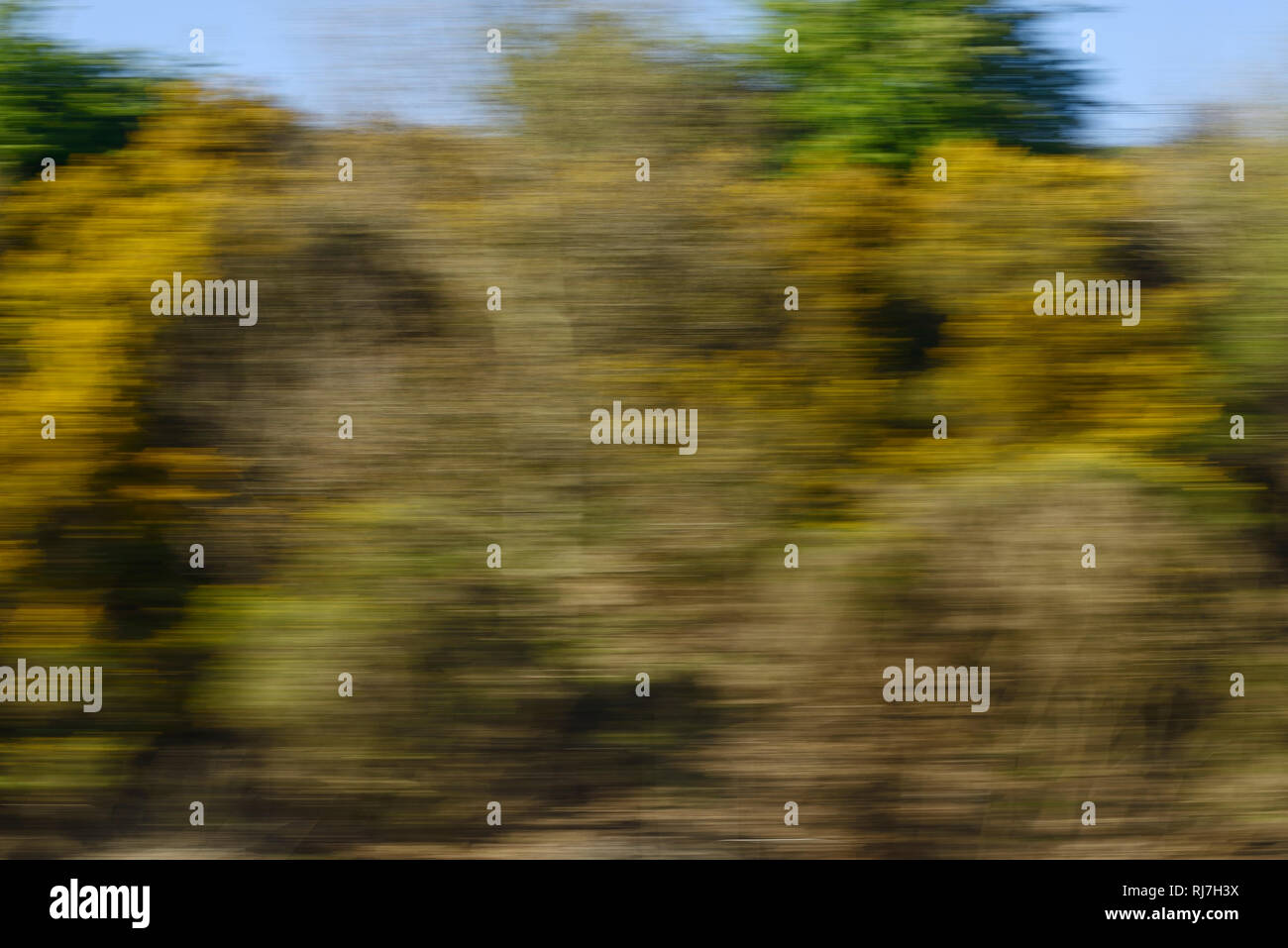 La vista da un treno in movimento finestra Foto Stock