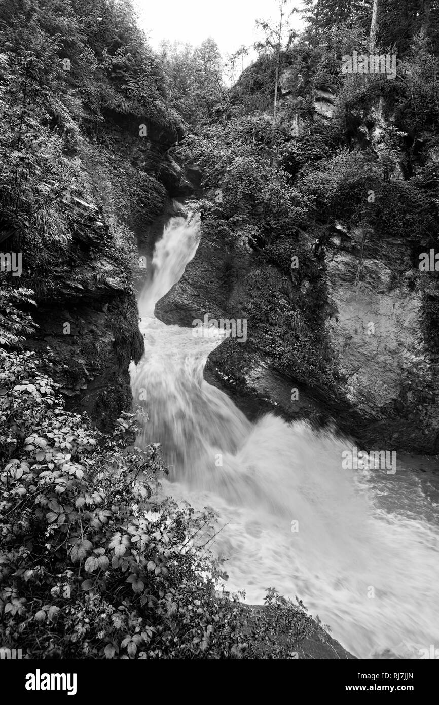 Nella parte superiore delle cascate di Reichenbach, Meiringen, Kanton Bern, Svizzera. Versione in bianco e nero Foto Stock