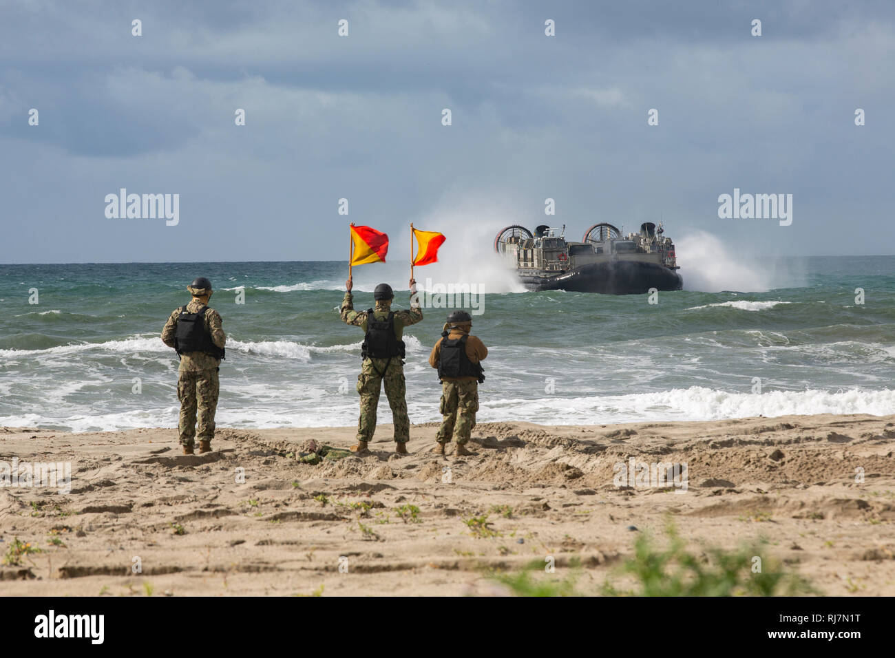Stati Uniti Marinai di dare il via libera per un atterraggio aerei, cuscino d'aria di venire a terra in modo Giappone terra Forza di Autodifesa (JGSDF) soldati con 1° Amphibious Rapid Deployment reggimento, è in grado di spegnere i veicoli di carico durante un atterraggio anfibio esercizio per il pugno di ferro 2019, Febbraio 4, NEGLI STATI UNITI. Marine Corps base Camp Pendleton, CA. Esercitare il pugno di ferro è un annuale, formazione multilaterale esercizio dove USA e giapponesi i membri del servizio treno insieme e condividere le tecniche, tattiche e procedure per migliorare la loro complessiva capacità operative. (U.S. Marine Corps foto di Cpl. Cutler Brice) Foto Stock