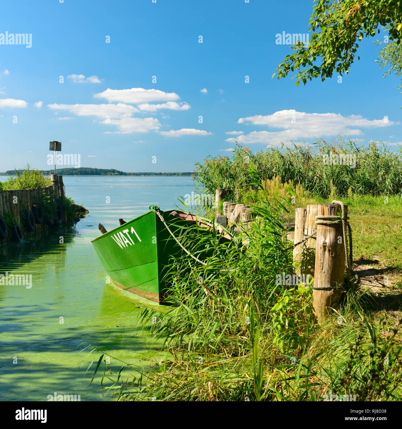 Kleiner Naturhafen mit Fischerboot am Achterwasser, Lieper Winkel, Insel Usedom, Ostsee, Meclenburgo-Pomerania Occidentale, Germania Foto Stock