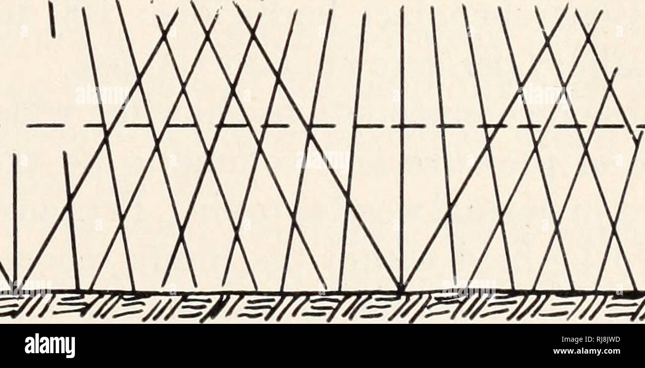 . Diserbamento chimico-di apparecchiature di controllo. Le erbe infestanti; spruzzo; attrezzatura di spruzzatura. L'ugello della larghezza della ventola e la spaziatura sul braccio di determinare quanto sia alto il braccio deve essere al di sopra della crescita di piante infestanti di avere le ventole si incontrano in corrispondenza della sommità delle erbacce. Doppia copertura fornisce la più uniforme e completa applicazione essere- cause di ogni striscia di terreno è coperto da spruzzo da due ugelli. Ciò è particolarmente buona per la spruzzatura di pesante la crescita di erbacce, per l'applicazione di erbicidi di contatto o per il funzionamento sul terreno incolto dove l'altezza del braccio modifiche. [27]. Si prega di notare che queste immagini vengono estratte dalla pagina sottoposta a scansione le immagini che potrebbero hav Foto Stock