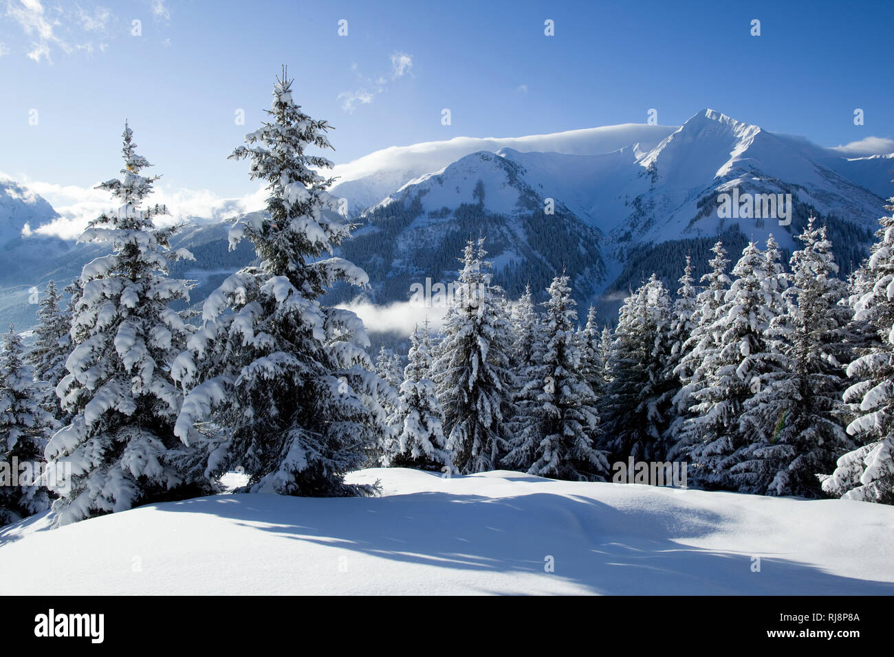 Blick zum Pfuitjöchl im Winter, bei Ehrwald, Ammergauer Alpen, Tirol Österreich Foto Stock