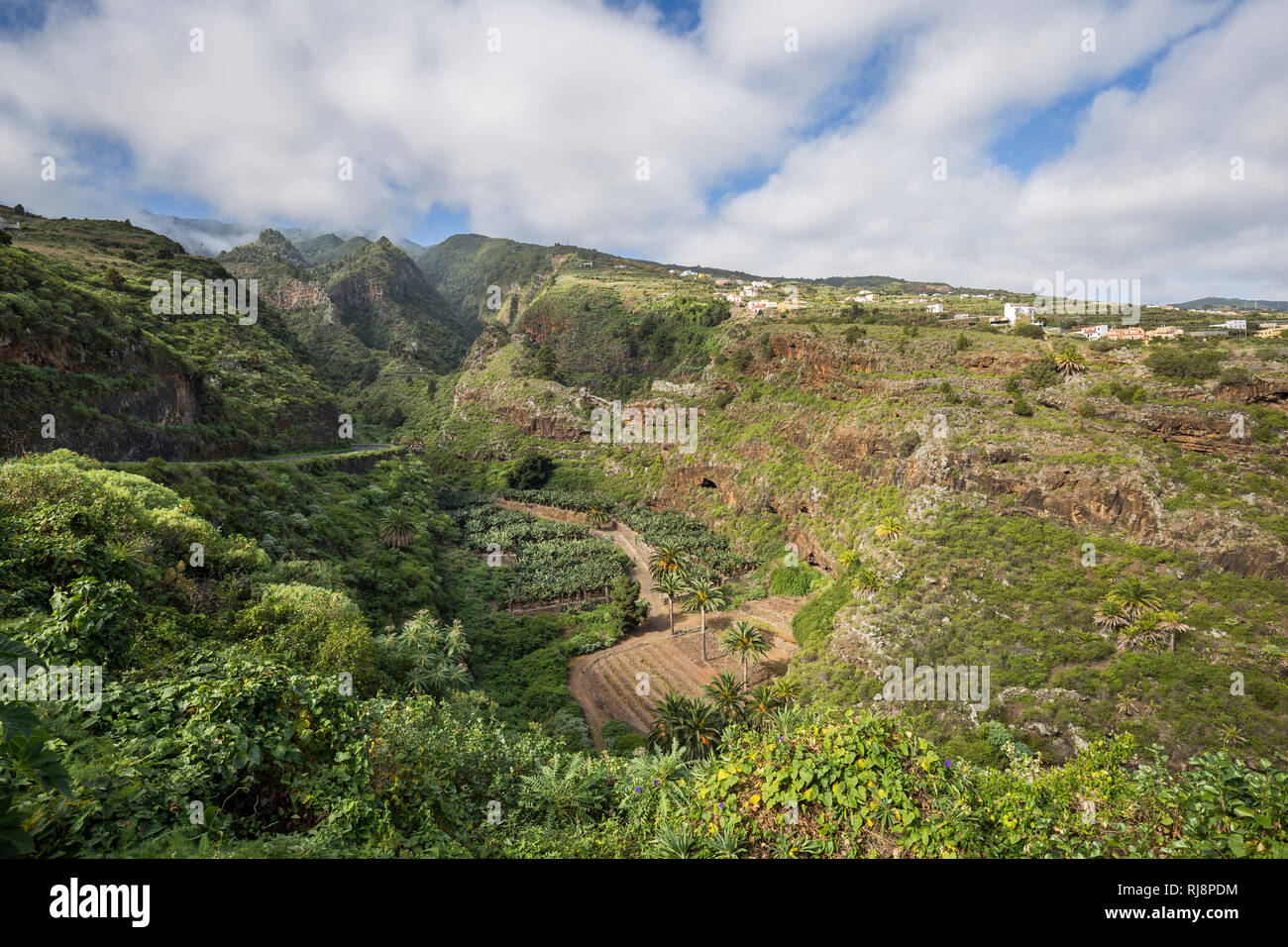 Schlucht Barranco de San Juan, La Palma, Kanarische isole, Spanien Foto Stock