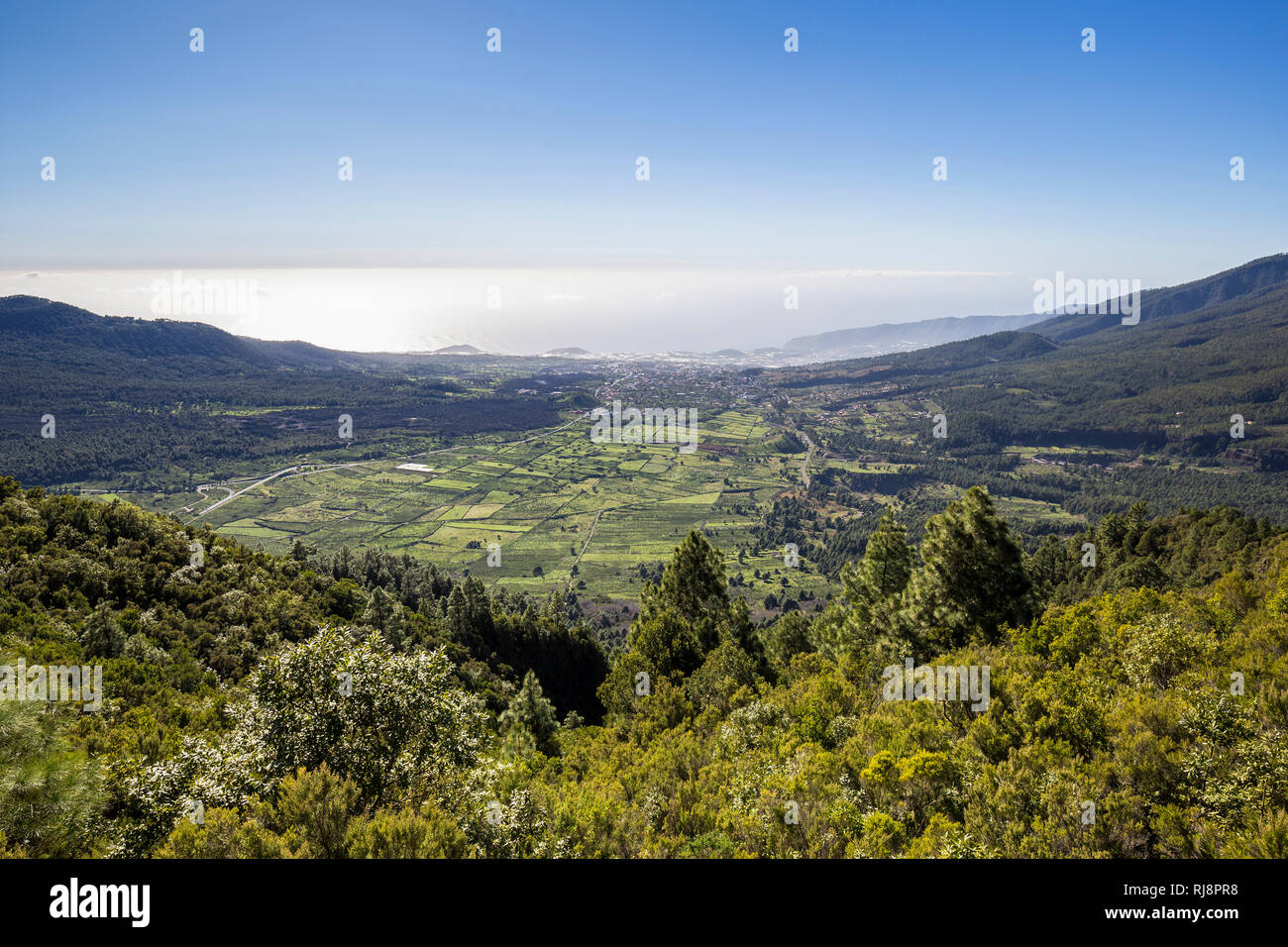 Blick von der Cumbre Nueva über das Aridane-Tal mit El Paso und Los Llanos, La Palma, Kanarische isole, Spanien Foto Stock