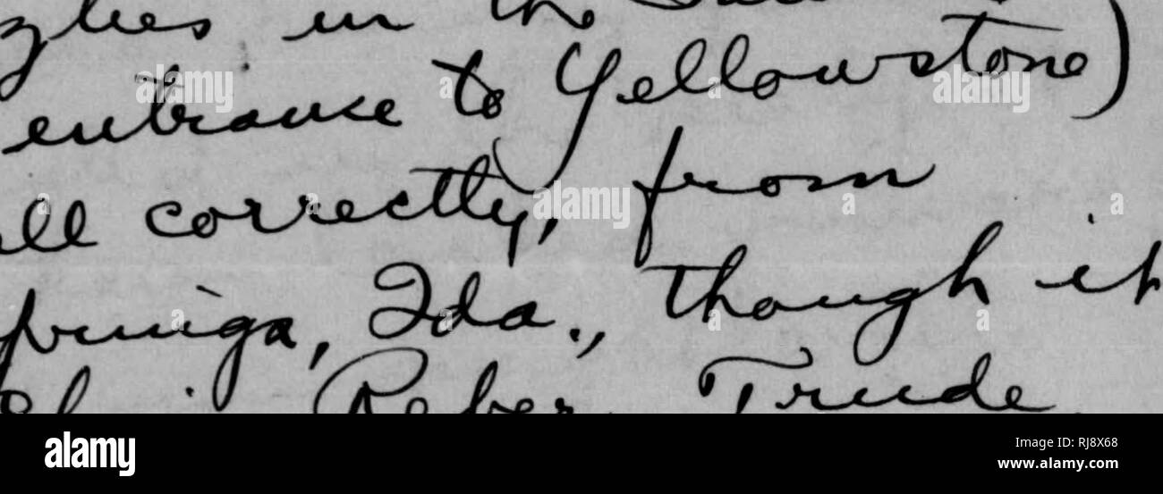 . C. Hart Merriam papers : comprese la corrispondenza, le carte relative alla carriera con gli Stati Uniti indagine biologica, 1798-1972 (bulk 1871-1942). Stati Uniti. Divisione di ornitologia e Mammalogy; Stati Uniti. Divisione di indagine biologica; Stati Uniti. Indagine biologica; Stati Uniti. Ufficio di indagine biologica; geologico e indagine geografica dei territori (brevetto statunitense n. S. ); Harriman Alaska Expedition (1899); Mare di Bering polemiche; sopporta; Biogeography; Storia Naturale; ornitologia; botanica; zone di vita; la conservazione della fauna selvatica. dL^^.AJ^^^-^X lAJ UU^-r Lt/"-*-^ L^n^ OC-^'^^. ^**&LT; Foto Stock