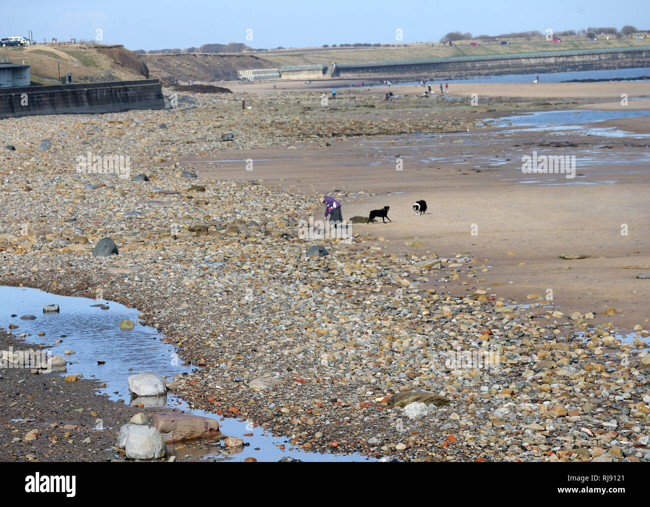 Whitley Bay spiaggia coperta in pietre e rocce dopo le recenti intemperie, giovedì 8 marzo 2018. Foto Stock