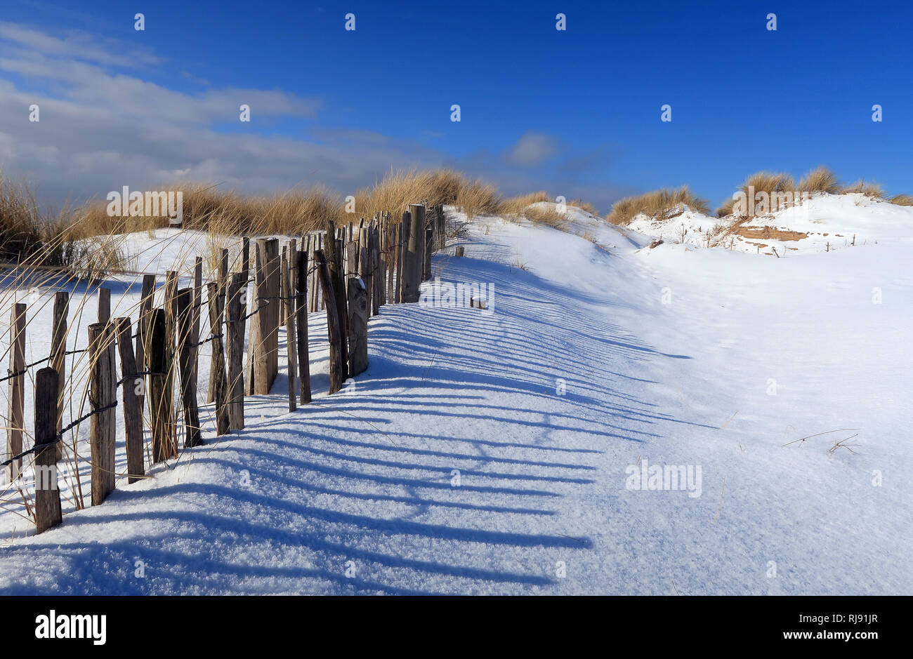 Snow capped dune di sabbia sulla spiaggia di Formby, Liverpool. Formby, Sefton nel Merseyside, Inghilterra. Il 27 febbraio 2018. Foto Stock