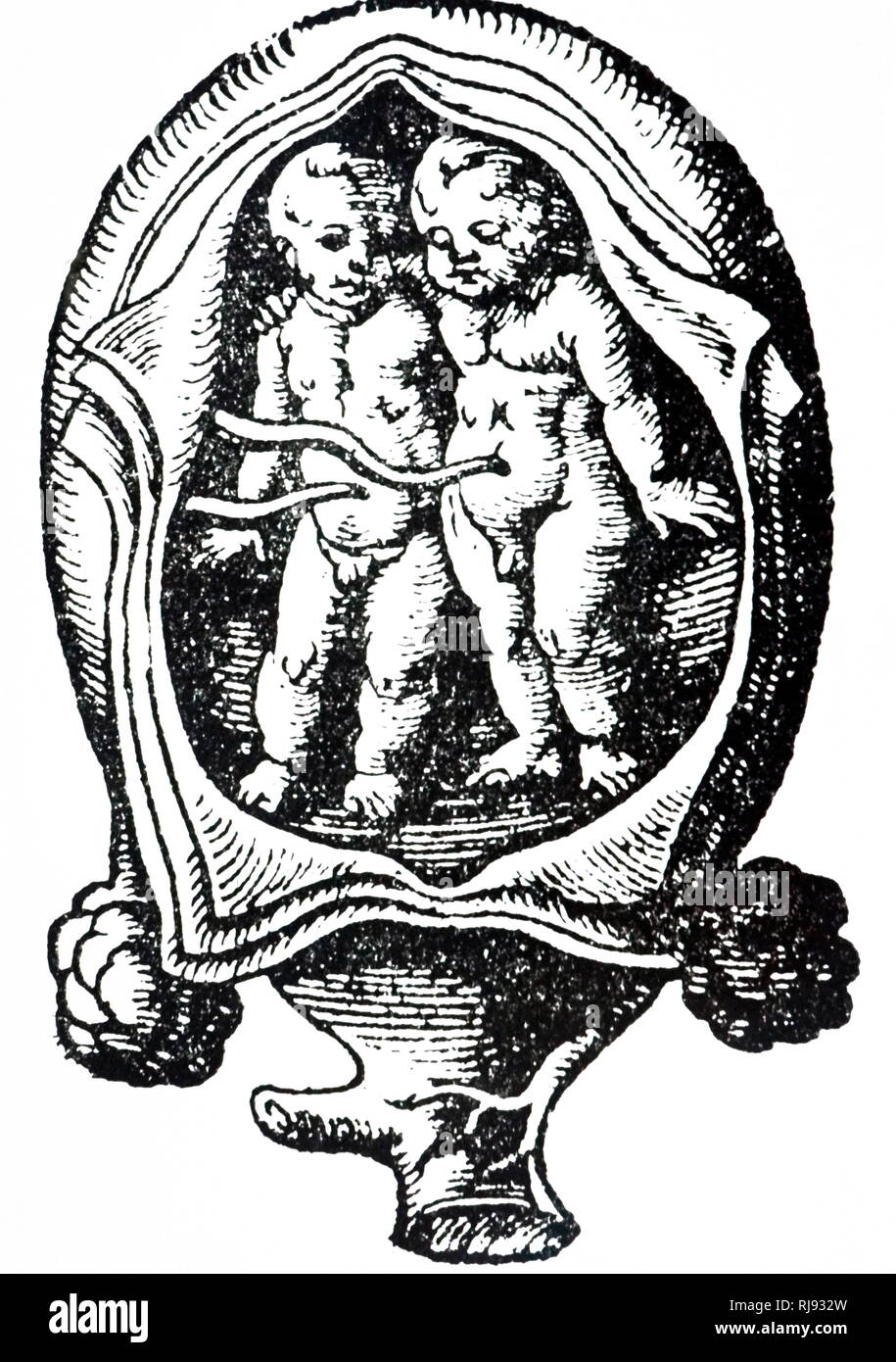 Una xilografia raffigurante due gemelli in utero. Xilografia da Jost Amman (1539-1591) un artista svizzero-tedesca. Datata xvi secolo Foto Stock