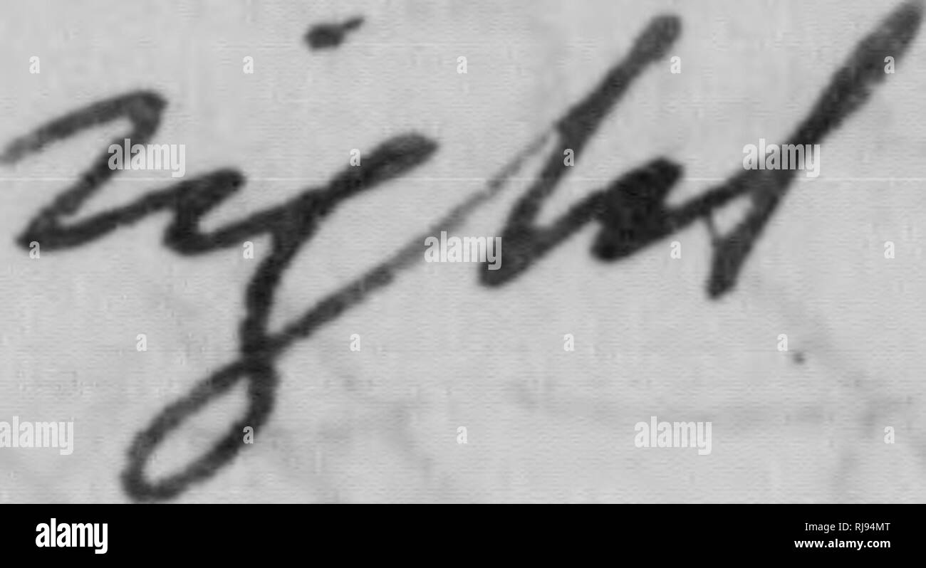 . C. Hart Merriam papers : comprese la corrispondenza, le carte relative alla carriera con gli Stati Uniti indagine biologica, 1798-1972 (bulk 1871-1942). Stati Uniti. Divisione di ornitologia e Mammalogy; Stati Uniti. Divisione di indagine biologica; Stati Uniti. Indagine biologica; Stati Uniti. Ufficio di indagine biologica; geologico e indagine geografica dei territori (brevetto statunitense n. S. ); Harriman Alaska Expedition (1899); Mare di Bering polemiche; sopporta; Biogeography; Storia Naturale; ornitologia; botanica; zone di vita; la conservazione della fauna selvatica. yC^ ^- -7 ,^.""^ 3^A^4L*^]t 3 X.,^. Si prega di notare che il Foto Stock