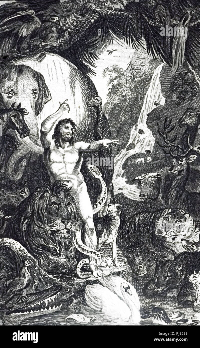 Una incisione raffigurante Adamo ammirando le bellissime opere della creazione di Dio. Datata del XIX secolo Foto Stock