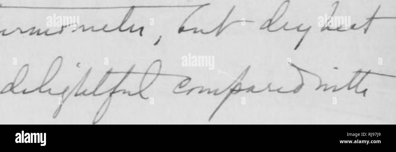 . C. Hart Merriam papers : comprese la corrispondenza, le carte relative alla carriera con gli Stati Uniti indagine biologica, 1798-1972 (bulk 1871-1942). Stati Uniti. Divisione di ornitologia e Mammalogy; Stati Uniti. Divisione di indagine biologica; Stati Uniti. Indagine biologica; Stati Uniti. Ufficio di indagine biologica; geologico e indagine geografica dei territori (brevetto statunitense n. S. ); Harriman Alaska Expedition (1899); Mare di Bering polemiche; sopporta; Biogeography; Storia Naturale; ornitologia; botanica; zone di vita; la conservazione della fauna selvatica. 0. ^ ^ 'V' X^U^t^ A.-"-wL &gt;!^ &gt;^^^^tc l^u^^t^^^UtcJ Foto Stock