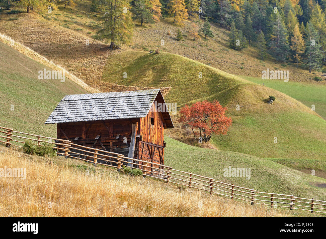 Fienile in legno nella Valle dei Mulini, Longiaru, Dolomiti, Alta Badia, Alto Adige, Italia Foto Stock