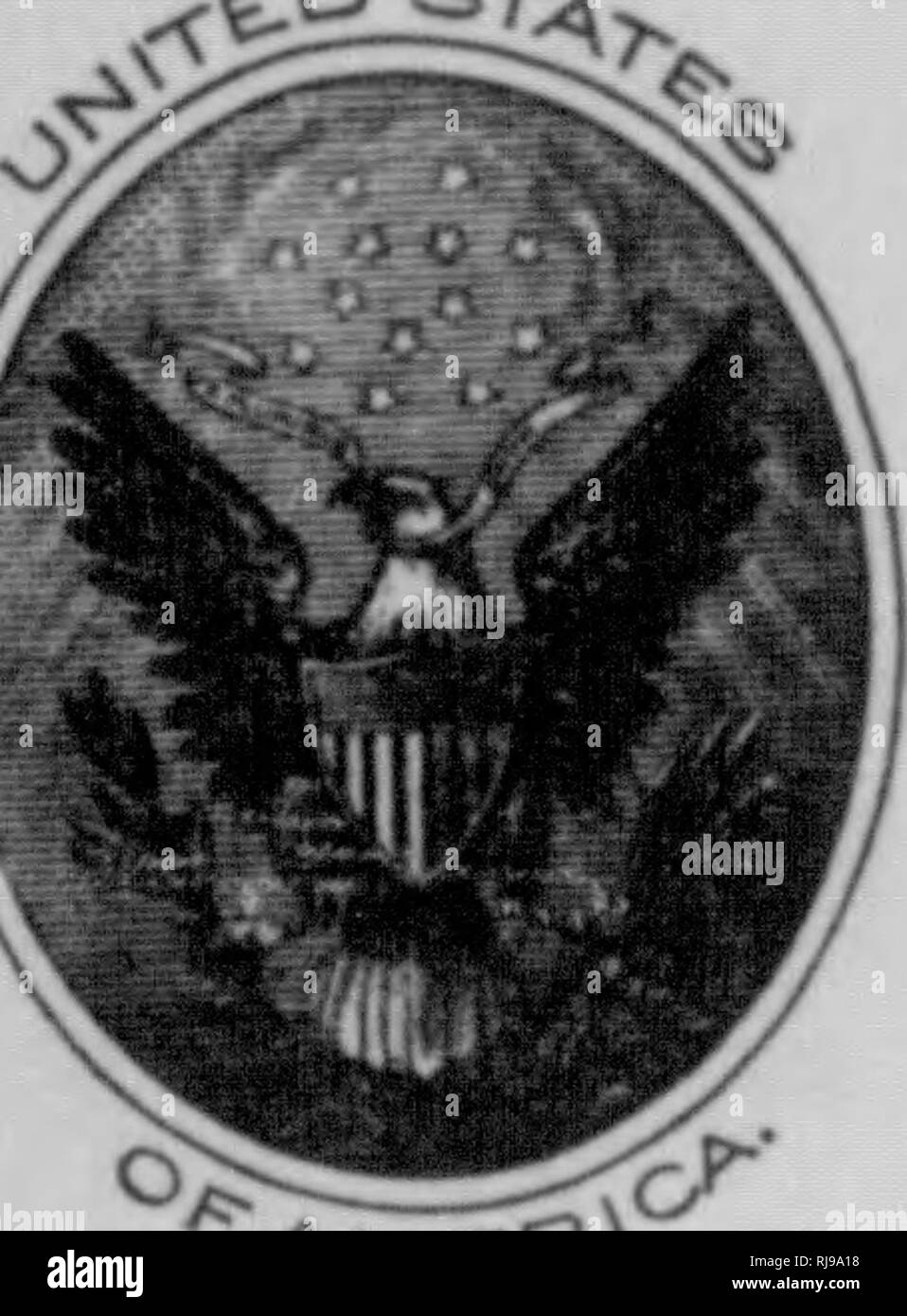 . C. Hart Merriam papers : comprese la corrispondenza, le carte relative alla carriera con gli Stati Uniti indagine biologica, 1798-1972 (bulk 1871-1942). Stati Uniti. Divisione di ornitologia e Mammalogy; Stati Uniti. Divisione di indagine biologica; Stati Uniti. Indagine biologica; Stati Uniti. Ufficio di indagine biologica; geologico e indagine geografica dei territori (brevetto statunitense n. S. ); Harriman Alaska Expedition (1899); Mare di Bering polemiche; sopporta; Biogeography; Storia Naturale; ornitologia; botanica; zone di vita; la conservazione della fauna selvatica. .EosT:;. '^MfcP^^ lo spazio sopra è riservato per il POS PO Foto Stock