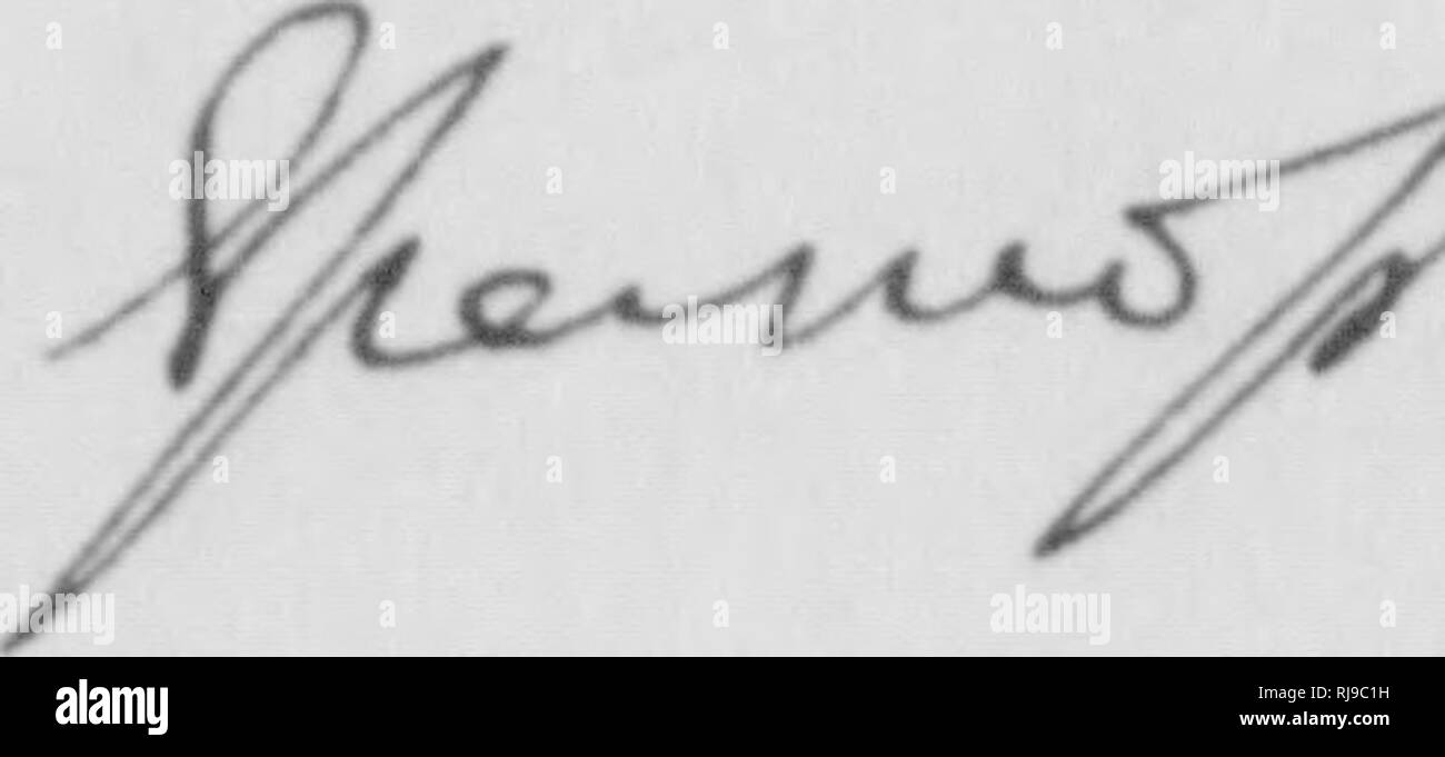 . C. Hart Merriam papers : comprese la corrispondenza, le carte relative alla carriera con gli Stati Uniti indagine biologica, 1798-1972 (bulk 1871-1942). Stati Uniti. Divisione di ornitologia e Mammalogy; Stati Uniti. Divisione di indagine biologica; Stati Uniti. Indagine biologica; Stati Uniti. Ufficio di indagine biologica; geologico e indagine geografica dei territori (brevetto statunitense n. S. ); Harriman Alaska Expedition (1899); Mare di Bering polemiche; sopporta; Biogeography; Storia Naturale; ornitologia; botanica; zone di vita; la conservazione della fauna selvatica. Il Museo Americano di Storia Naturale, Central Park, {yjth Foto Stock